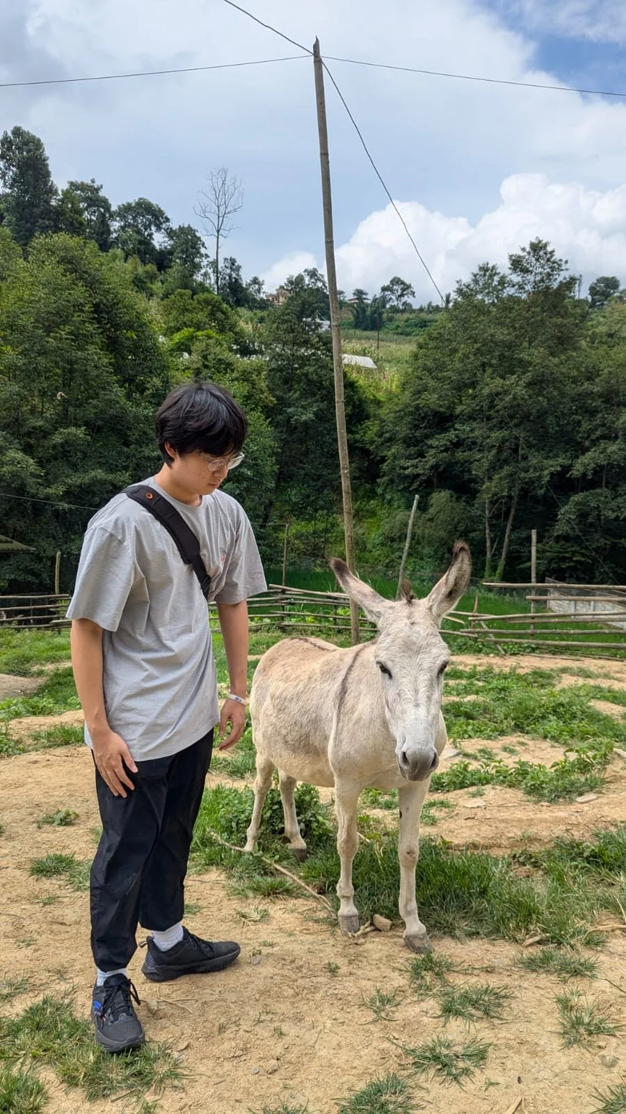 inspiring the next generation of veterinary professionals to improve animal welfare