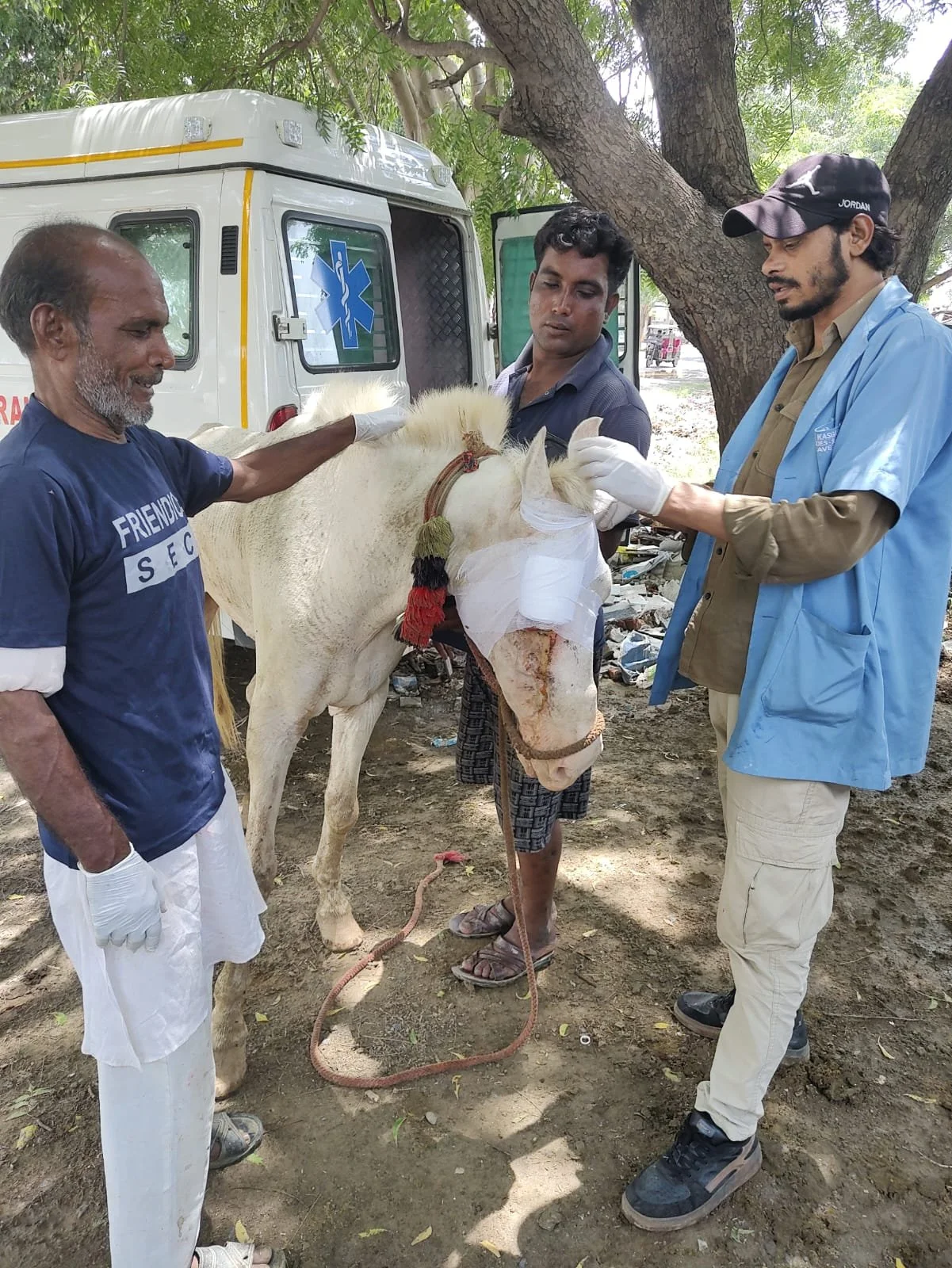 mobile vet clinic provides care, relief &amp; dignity for india’s working equines