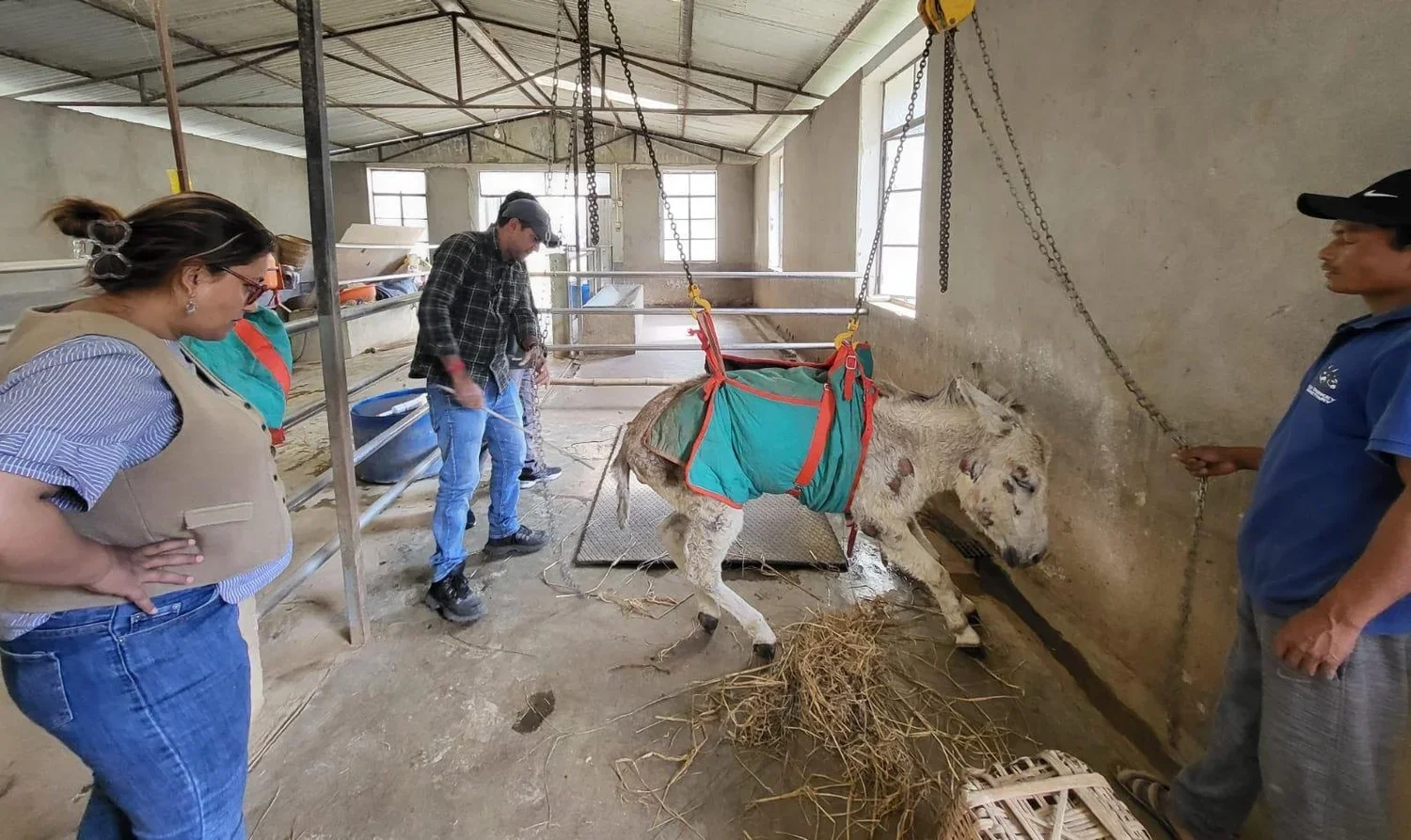 Lifetime Care Fund $10