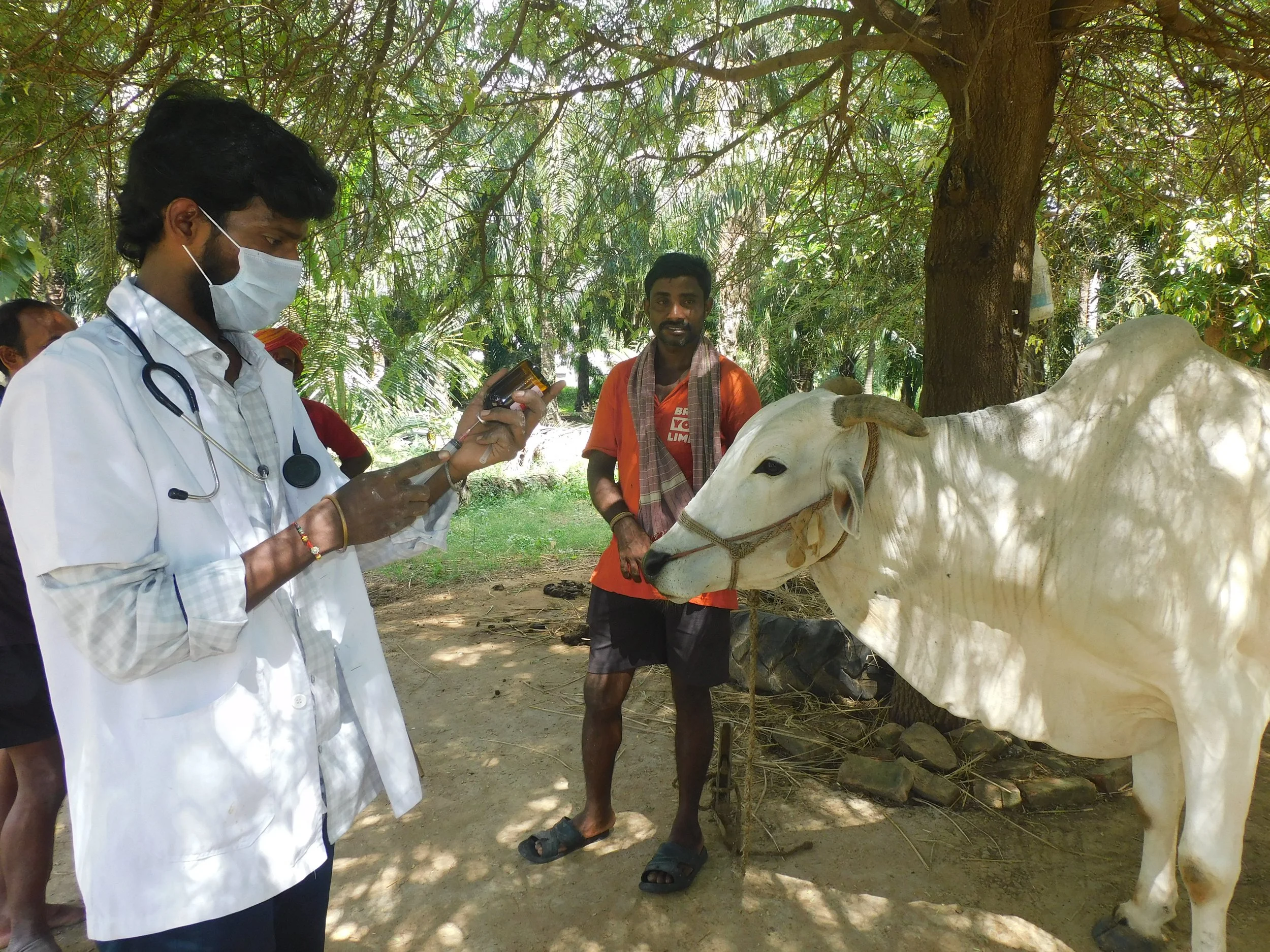 Working Bulls Awareness and Medical Camp in Anakapalle (35).jpeg