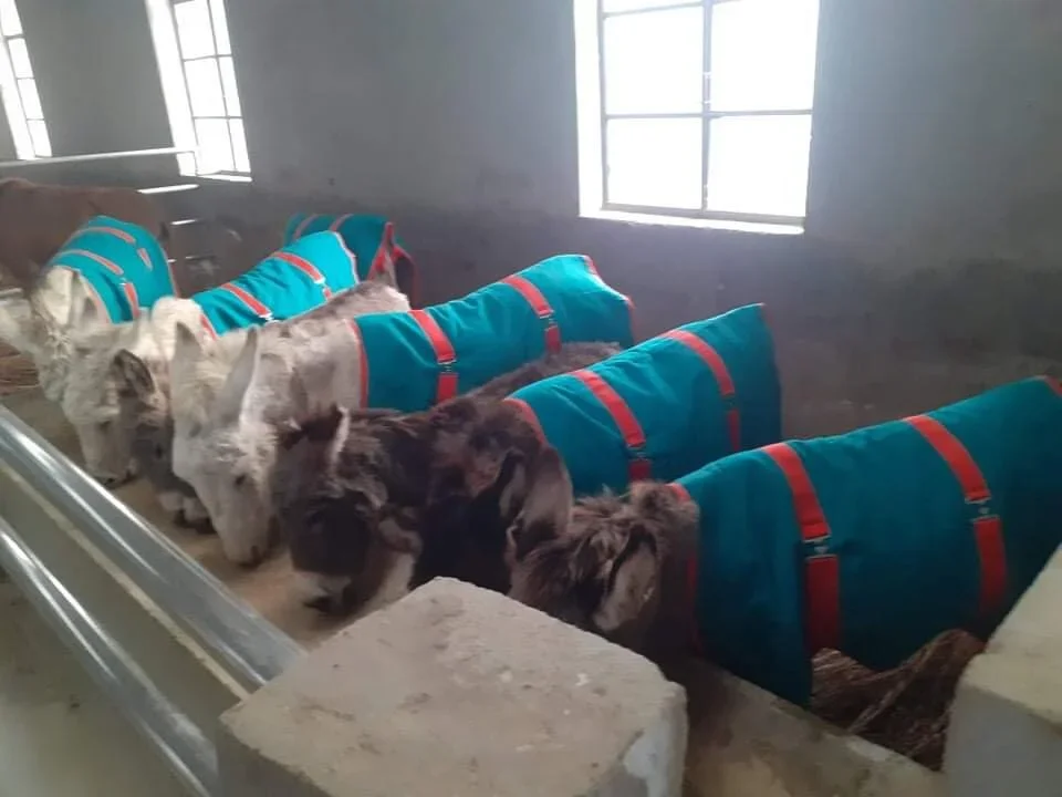 Lifetime Care Fund $50