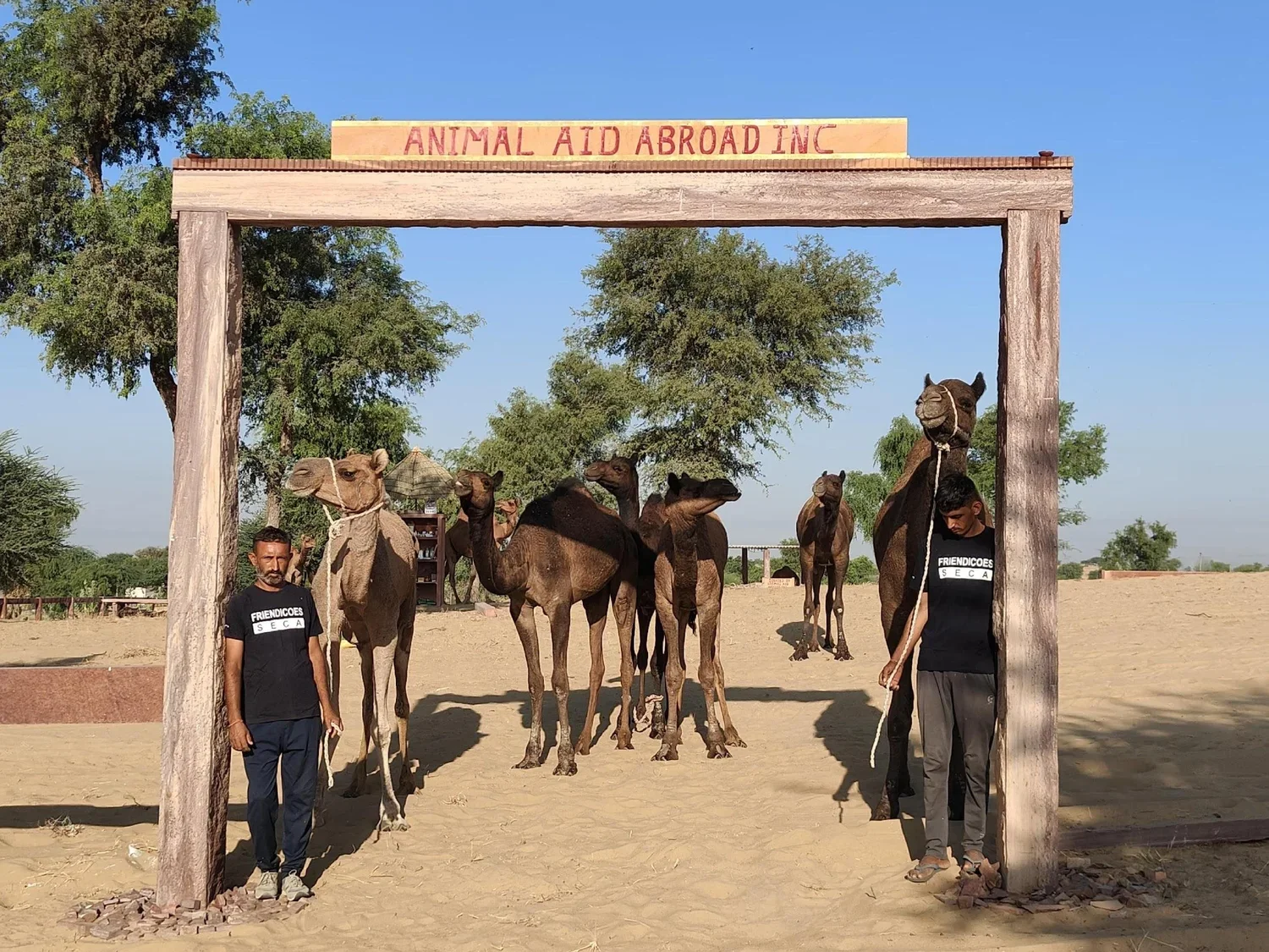 Lifetime Care Fund $25