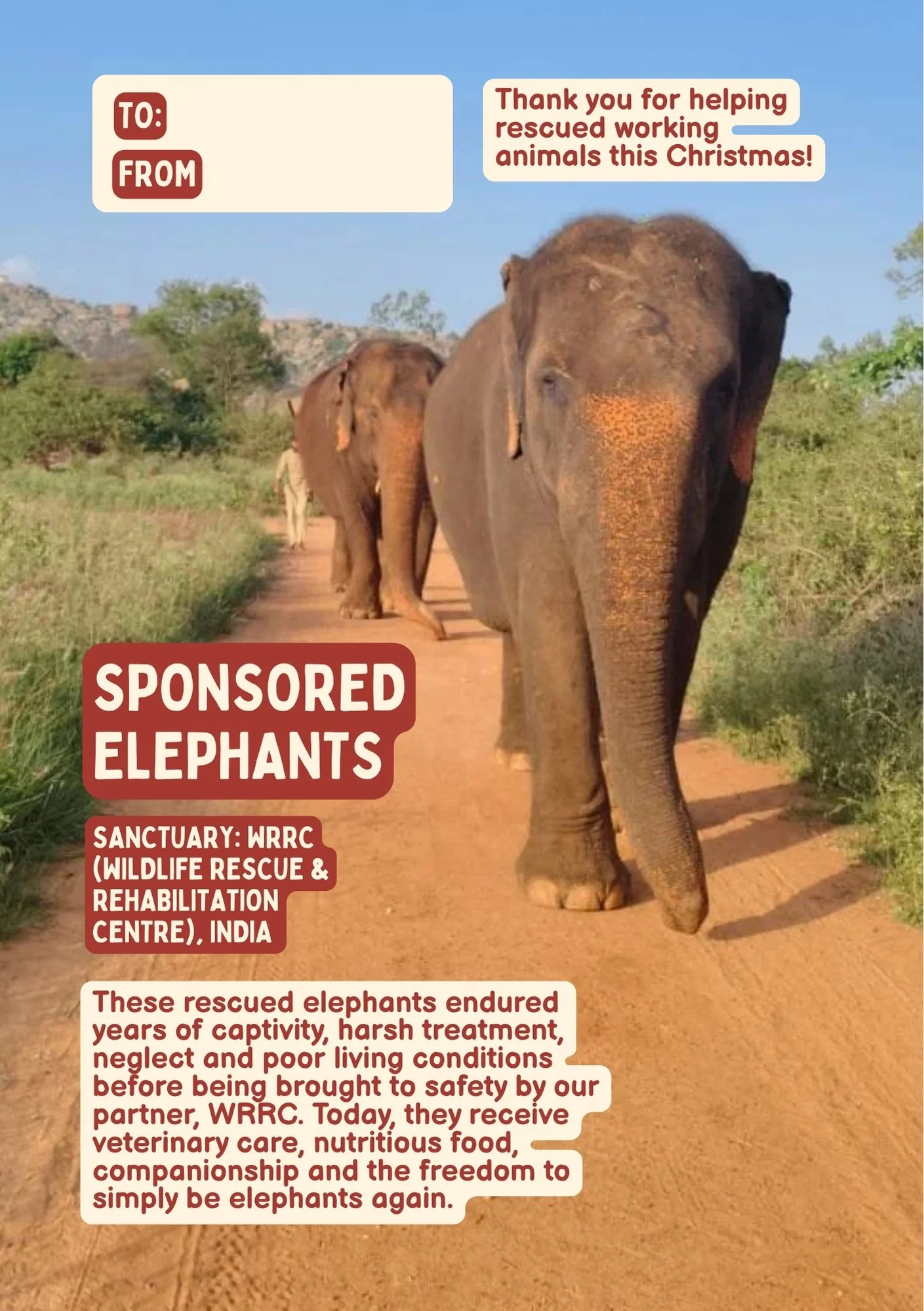 A line of rescued elephants walking on a dirt path with greenery on both sides. The image is part of a holiday greeting card supporting wildlife rescue, with text boxes expressing thanks for helping rescued animals, and information about the Wildlife Rescue & Rehabilitation Centre in India, which cares for elephants that endured years of captivity and neglect.