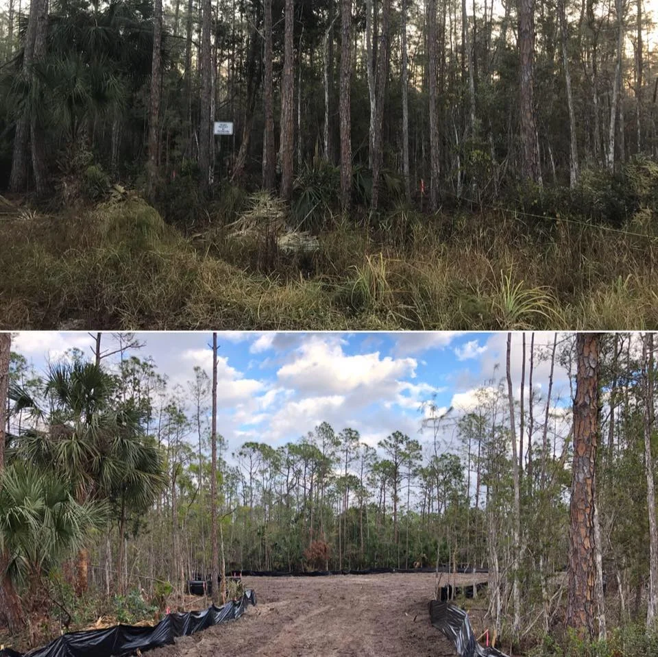 Land Clearing — Southern Coast Land Services