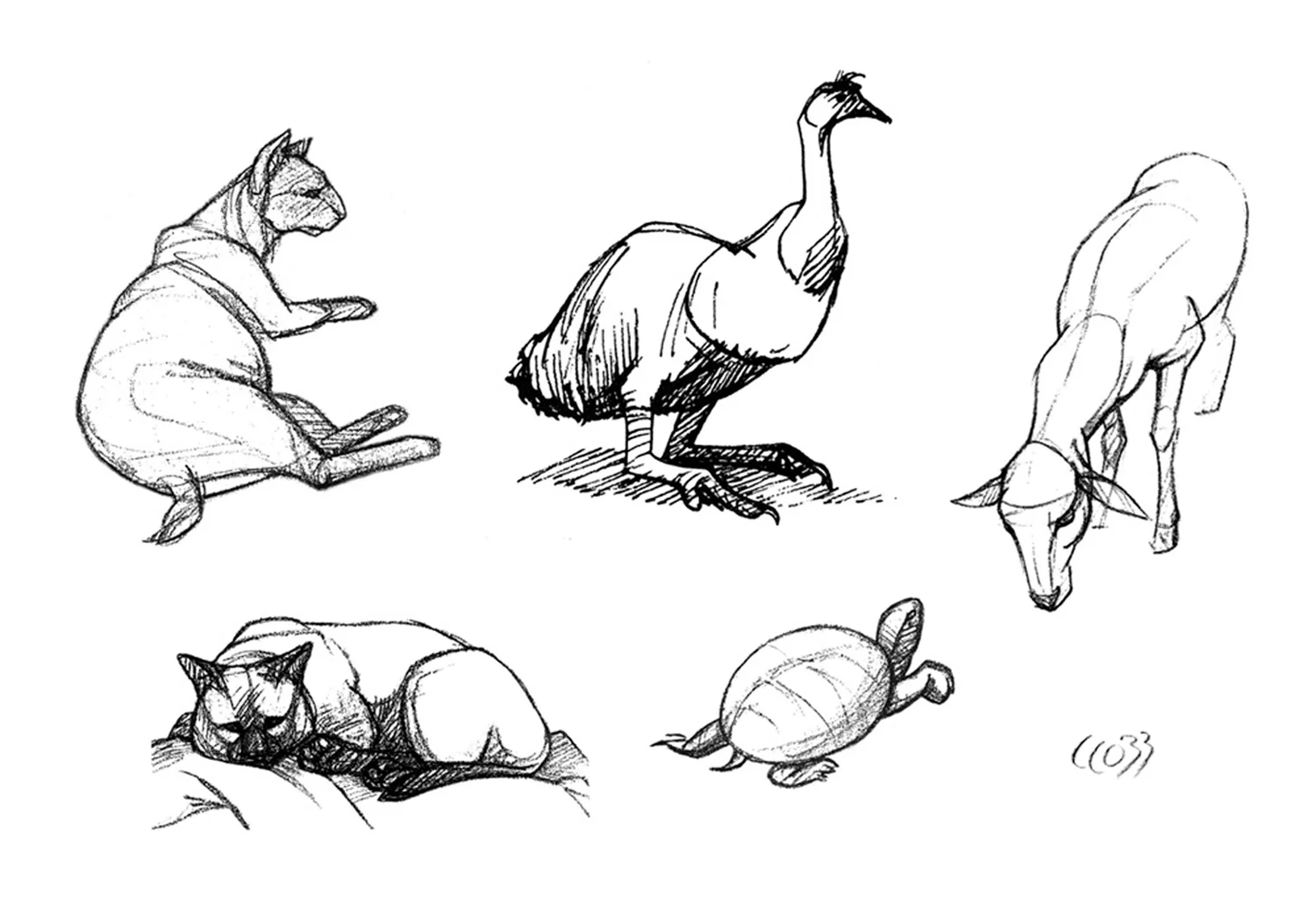 animal_sketches.jpg