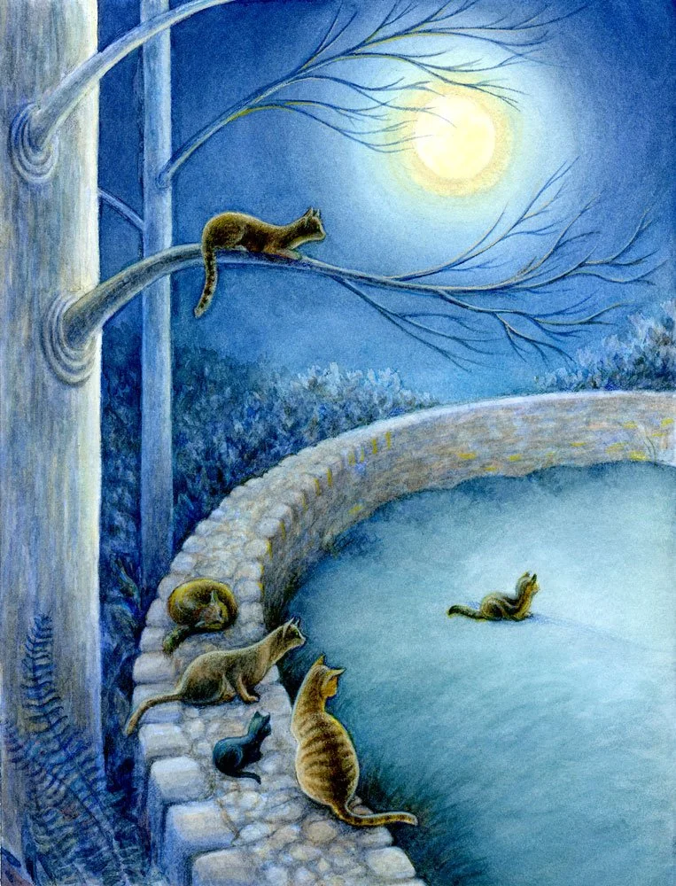 The cats waited until the moon was high