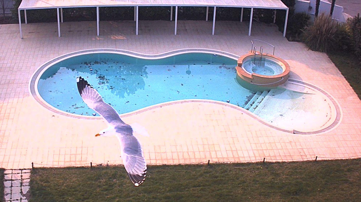 The Chattanooga Film Festival Announces