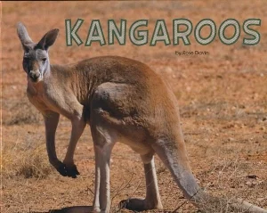 kangaroos.jpg