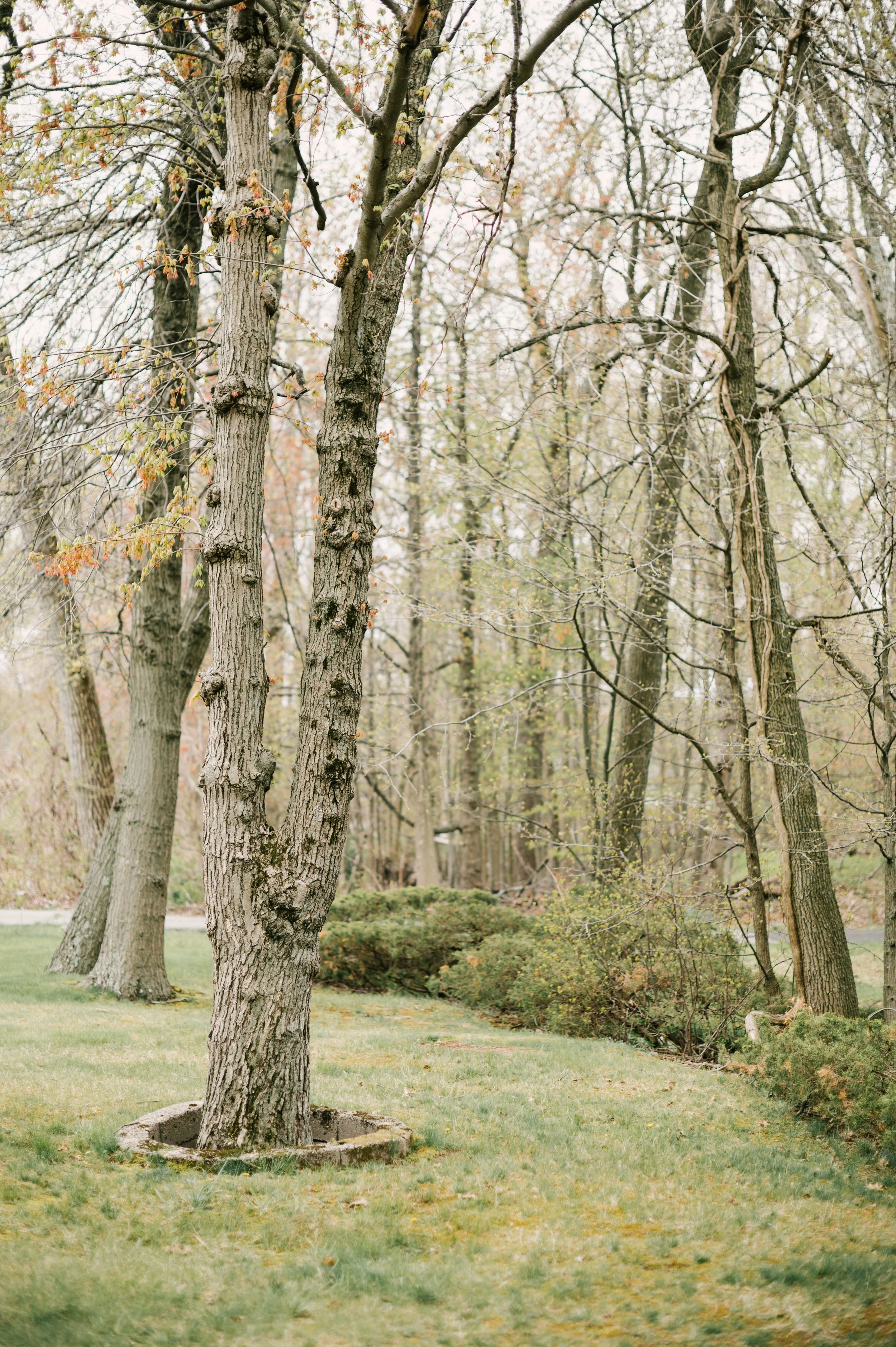 4-Atrium-Tenafly-Styled-Shoot.jpg