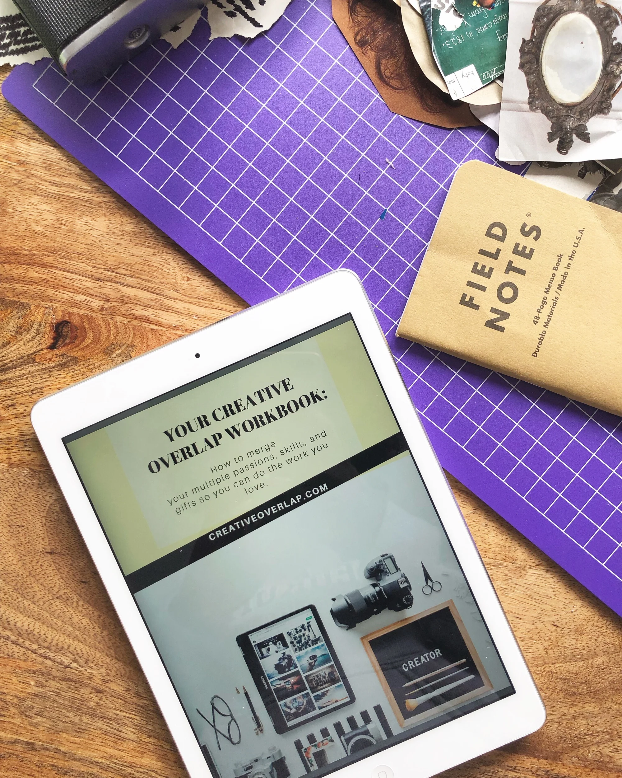 Your Multipassionate Workbook