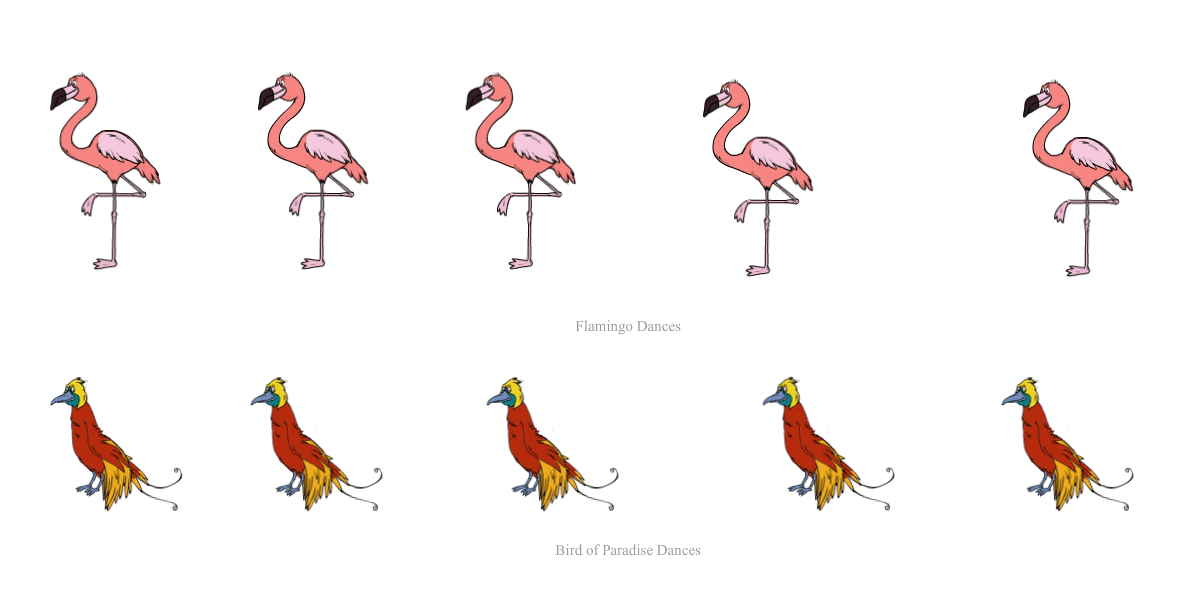 birdanims.gif