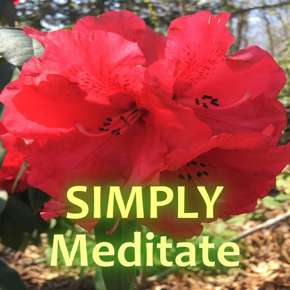 Simply Meditate - Saturdays 11:00 - 11:20  
