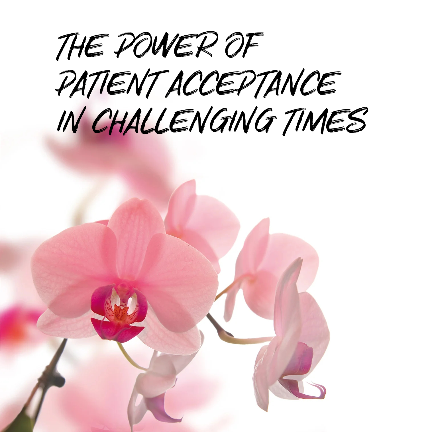 Having Faith in the Way Things Are: The Power of Acceptance In Challenging Times  