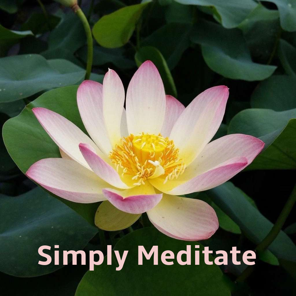 Simply Meditate - Saturdays 11:00 - 11:20   