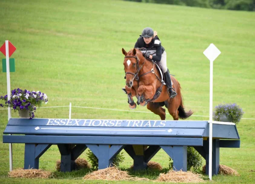 The Mars Essex Horse Trials. Photo courtesy of Gladstone Equestrian Association