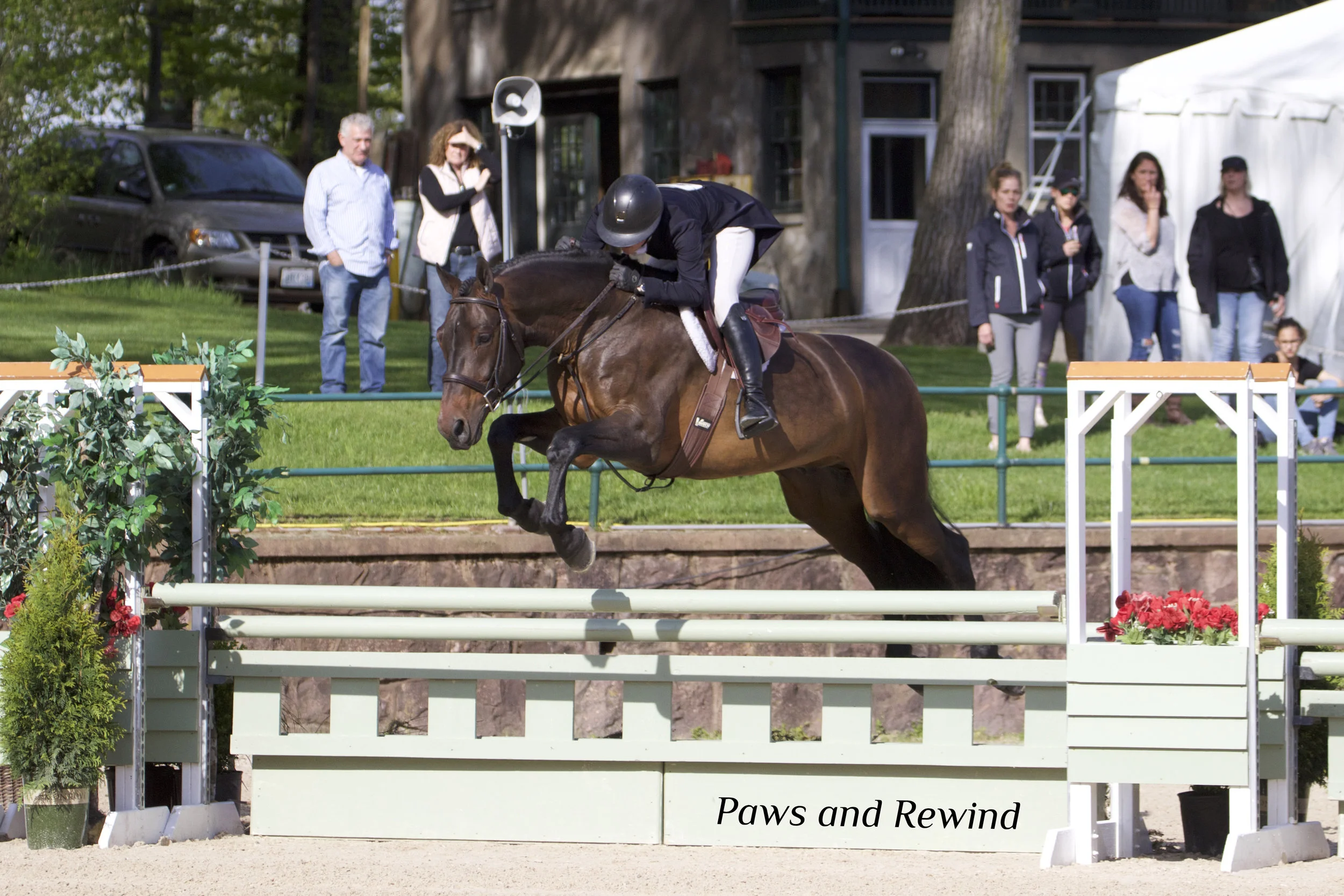 Morgan Ward and Legolas. Photo by Paws and Rewind