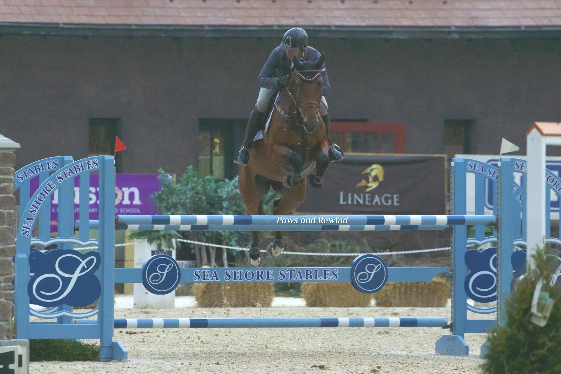 Pablo Mejia and Isaura. Photo by Paws and Rewind