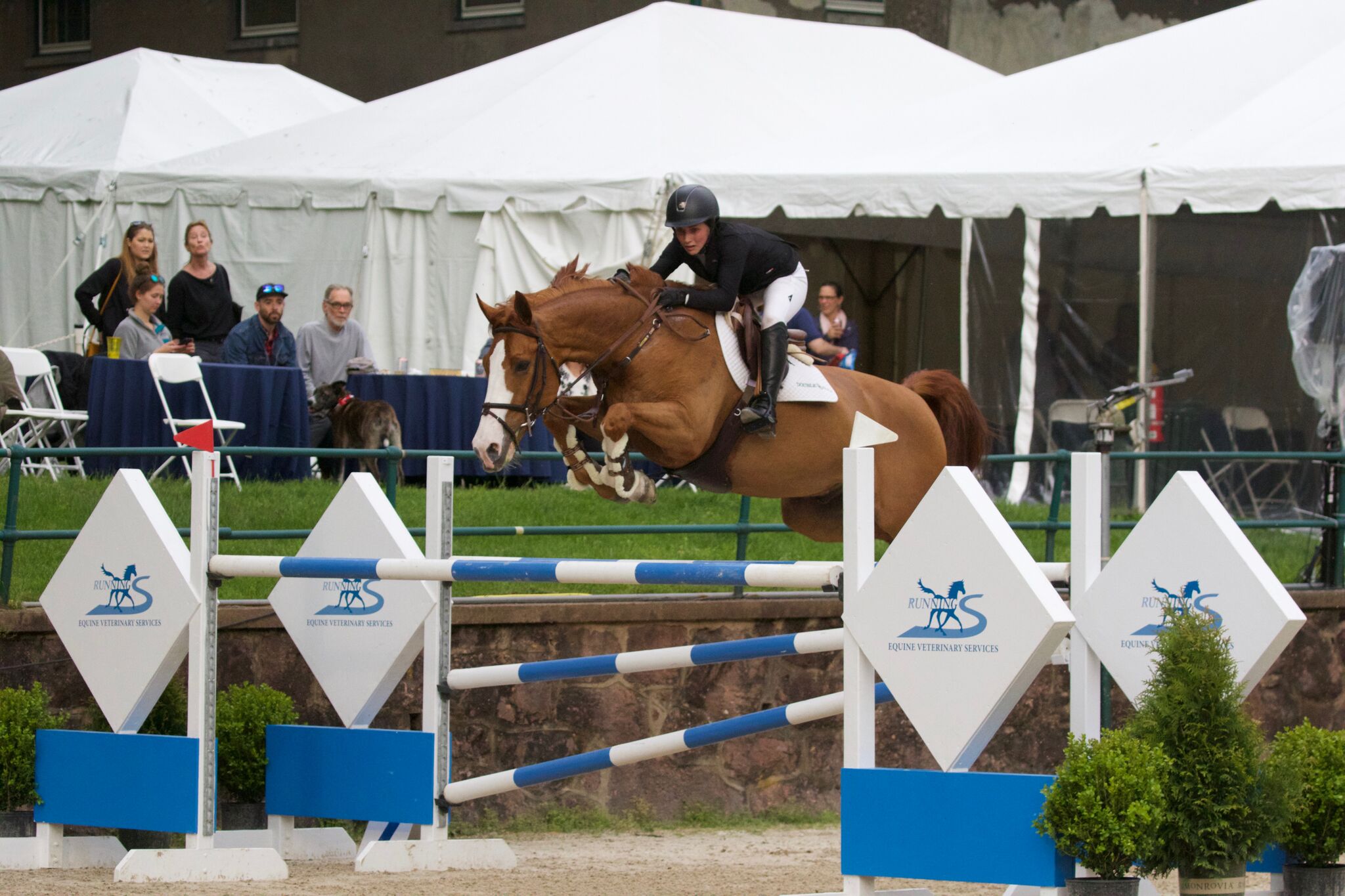 Sima Morello with Azur Van Overis Z. Photo by Paws and Rewind