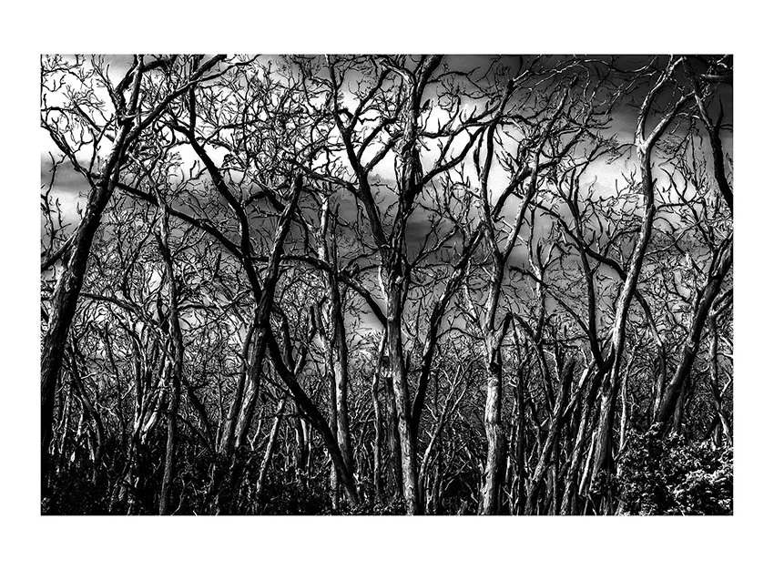 I can still see you#3  web24.jpg