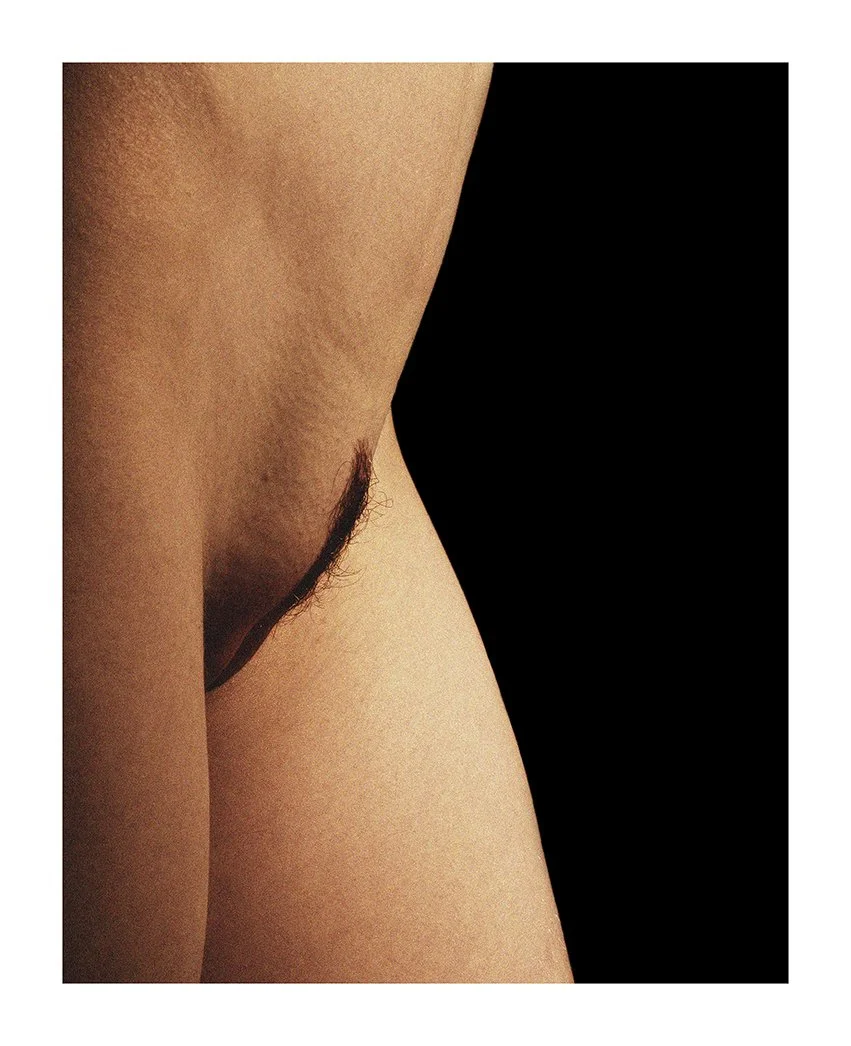 pubic 1f a3  web24.jpg