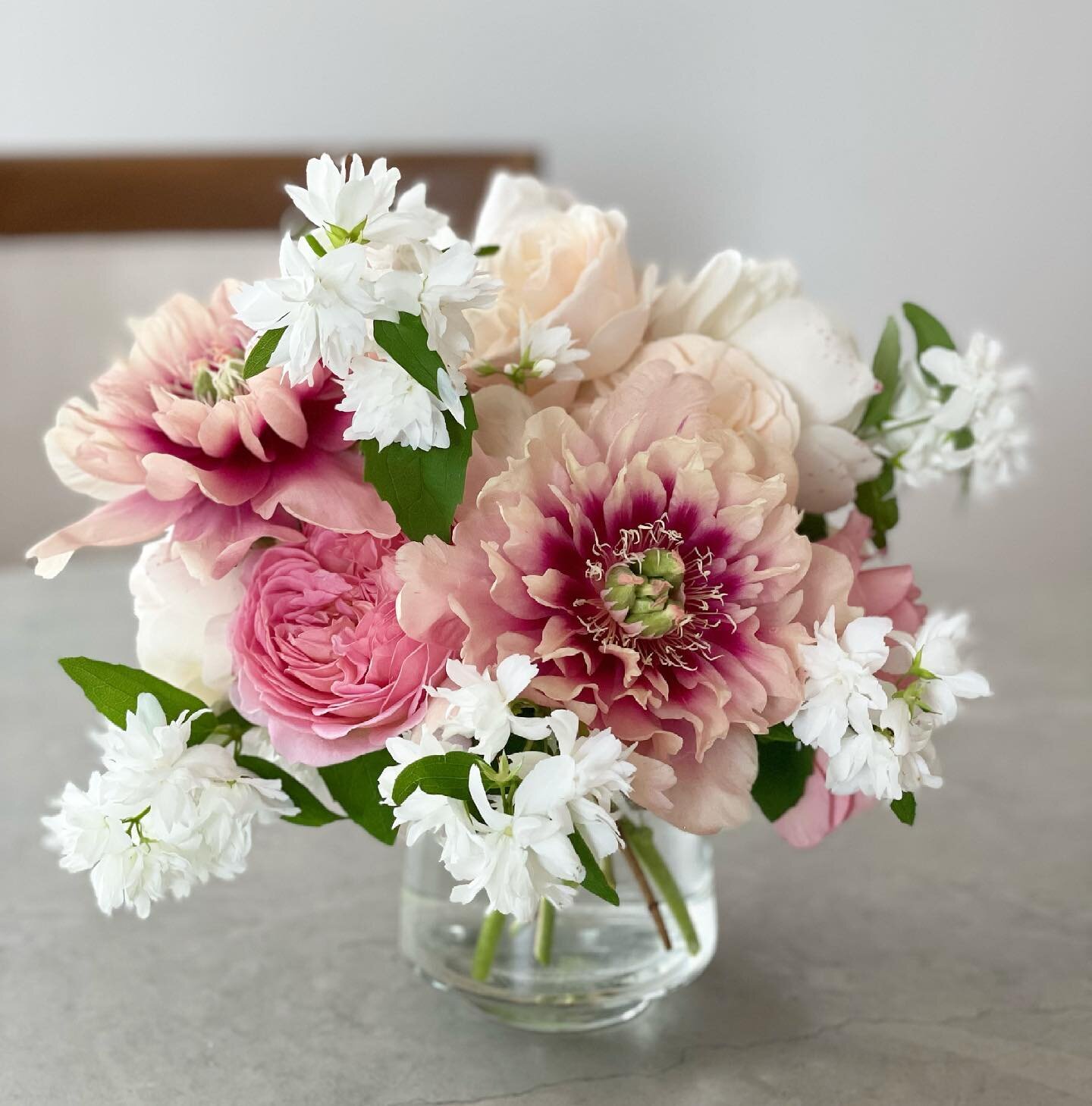 My garden is filled with these sweet scents at the moment- peonies, garden roses, and mock orange blossoms. 

#peony #peonyseason #gardenroses #mockorange #mockornageblossom #homegarden #floraldesign #flowers #floralmagic #florist #flowerideas #flora