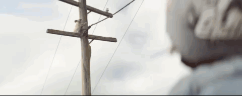 Oct-21-2020 17-09-33.gif