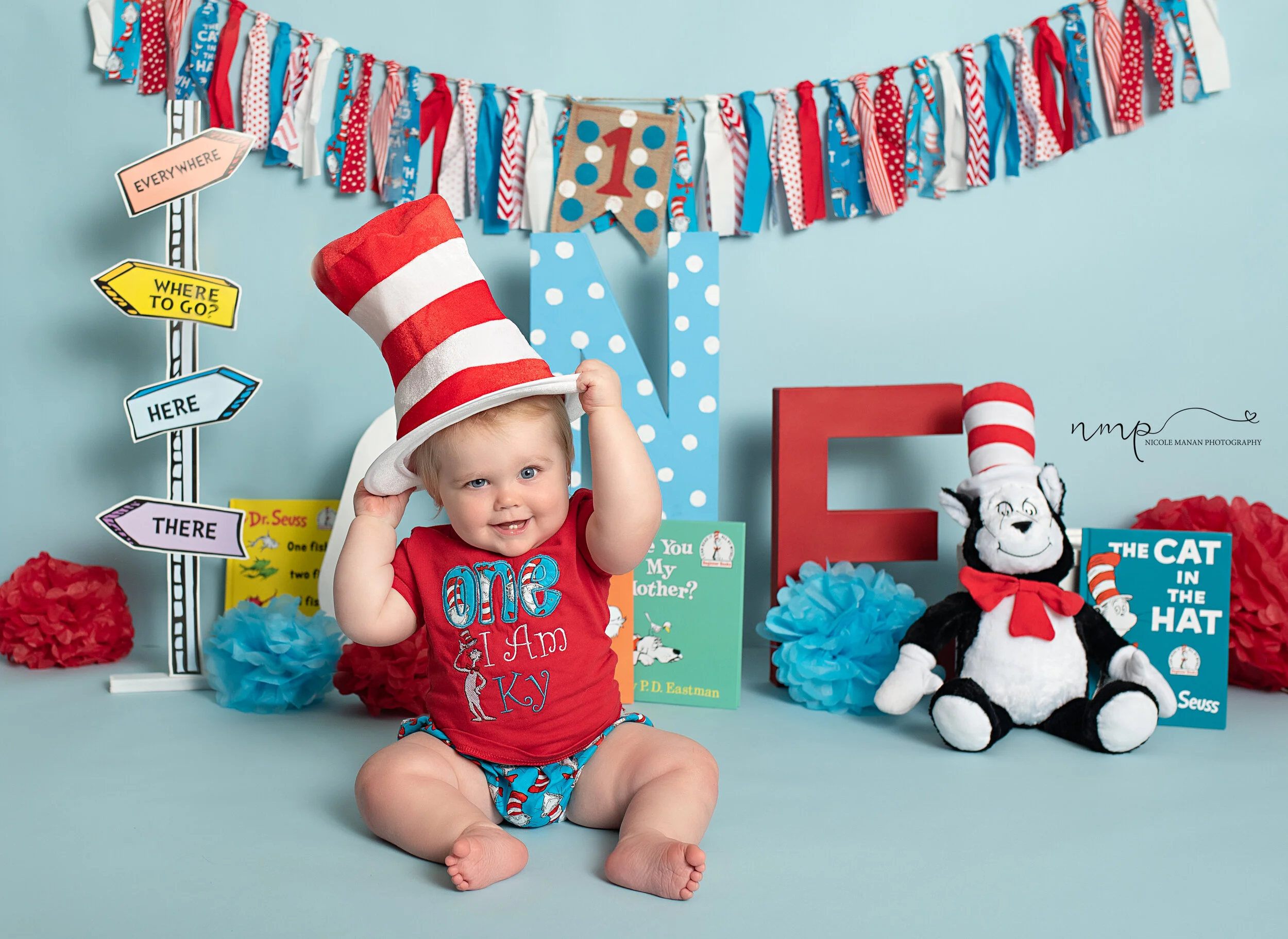 Cake Smash The Cat In The Hat, Dr Seuss Baby Photographer The Bronx Studio Erika Rosales New