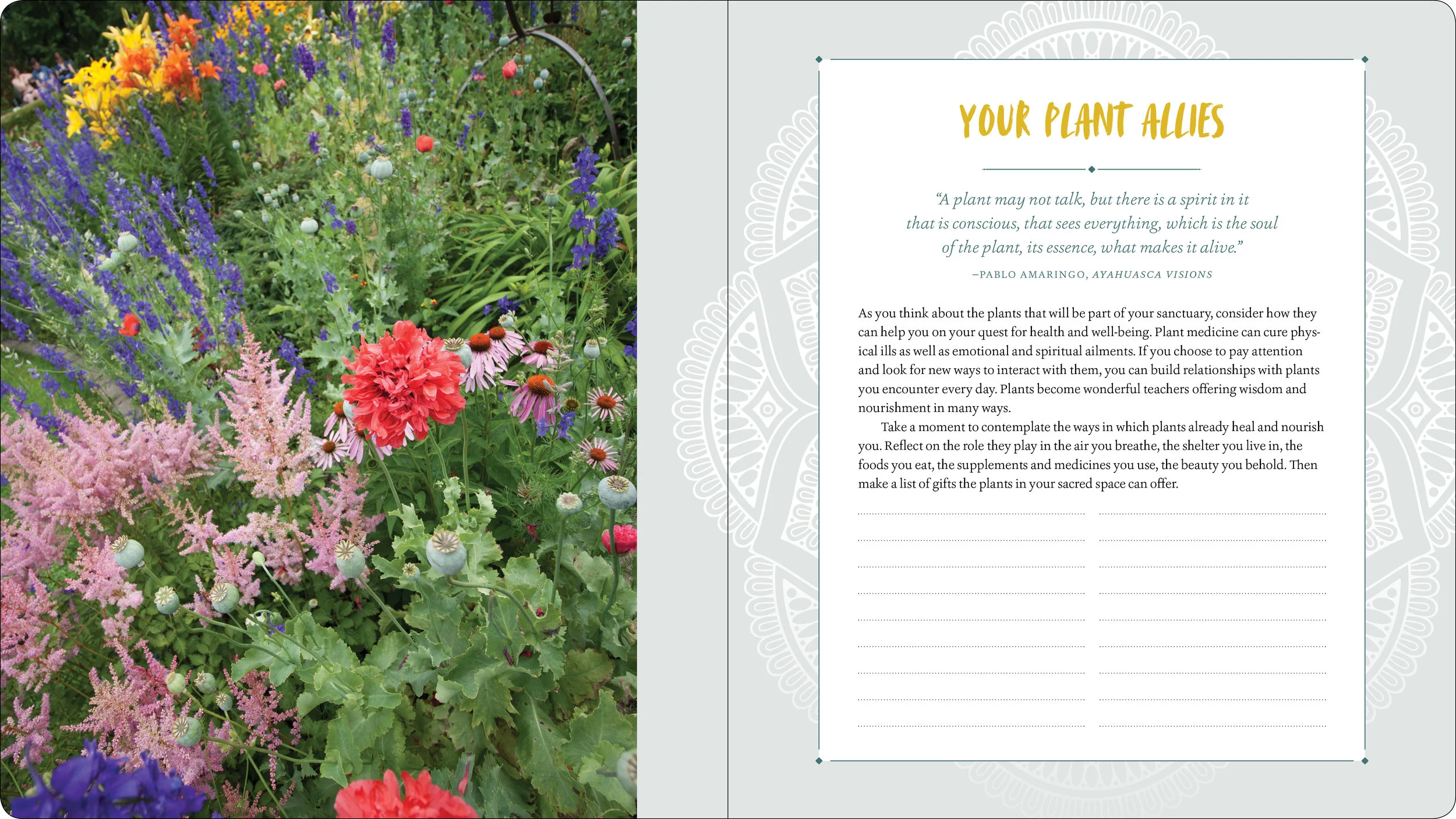 Thwaits_Bloom_EverydaySanctuary12.jpg