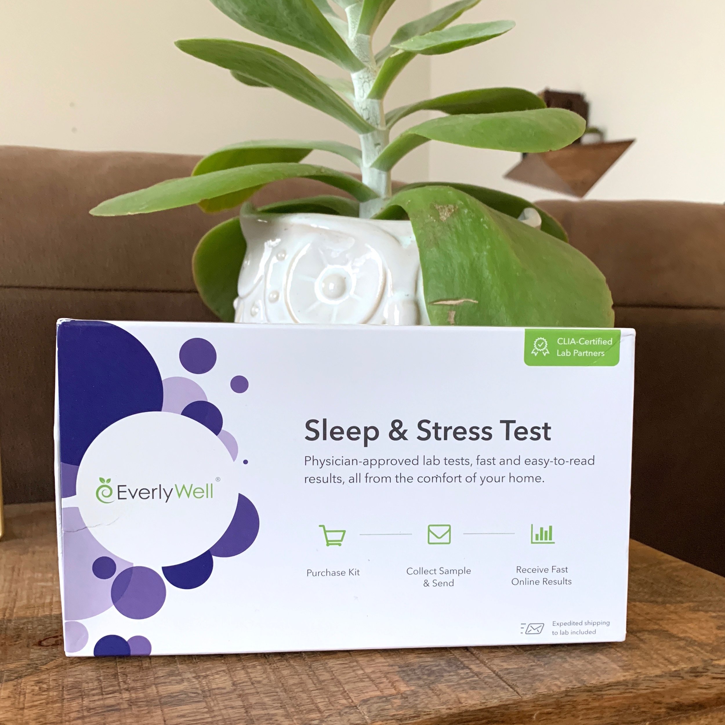 Sleep + Stress (how you can improve yours with EverlyWell!) — CHELSEY KORUS