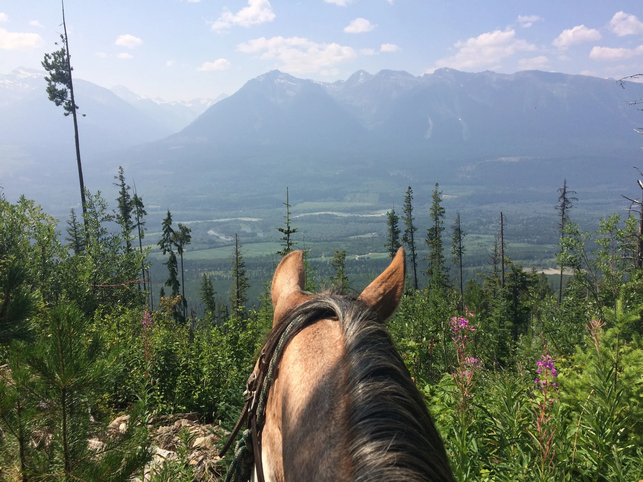 Cowgirl Up Adventures