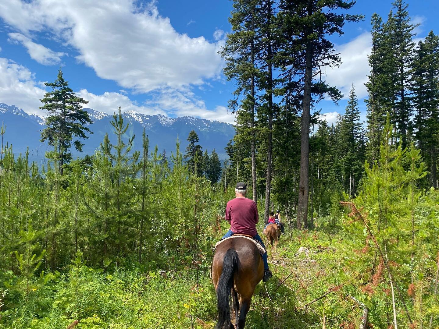 A day in the saddle is never wasted! Started the morning off taking George and his granddaughters riding. George brought his granddaughters out a few years ago for a first time horse experience. Now they have gone on to lessons at home in Alberta, an