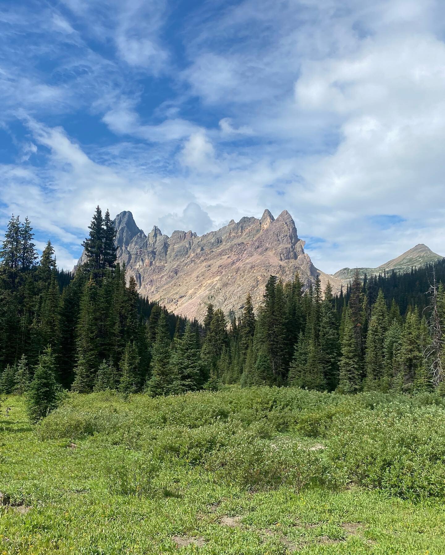 Colonel Pass, Grant Pass, headwaters of the Snaring, meandering along the borderline and the great divide&hellip; #packtrip #outfitting #trailriding #mountainhorses #explorebc #explorebc #backcountrylife #greatdivide