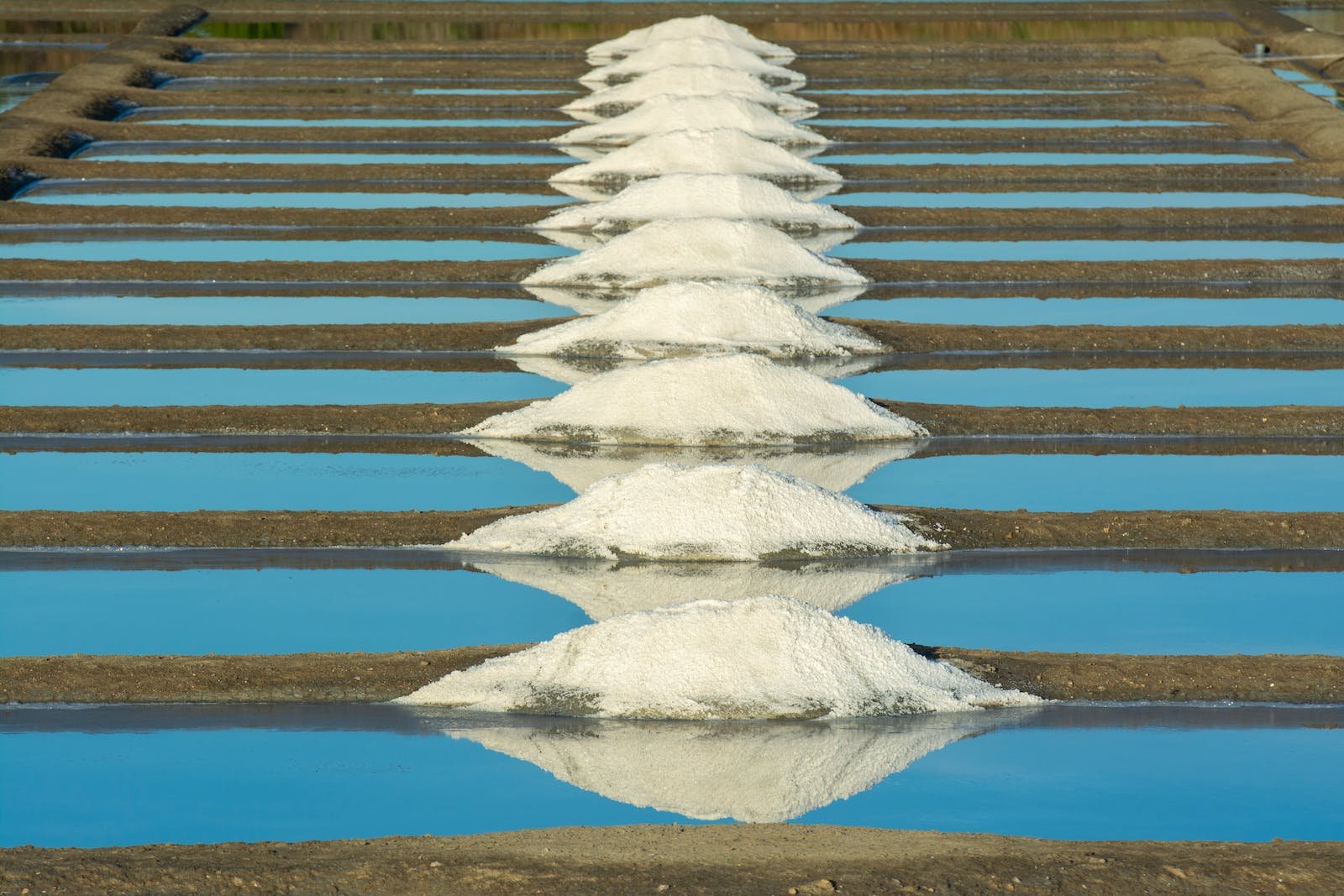 Sukkot Day 8 - Gather The Waters