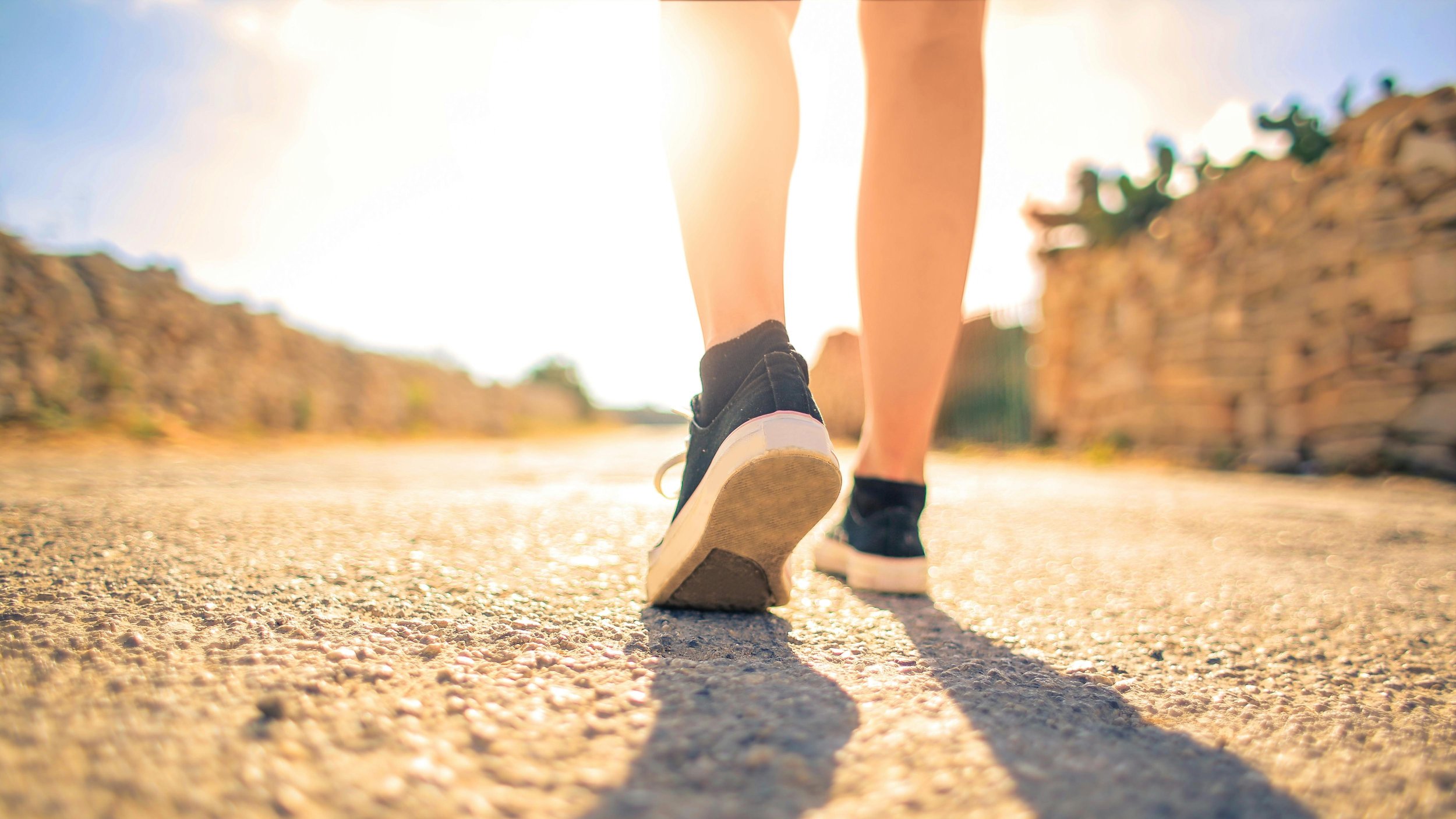 Haftarah - Balak - Walk Humbly with Your God