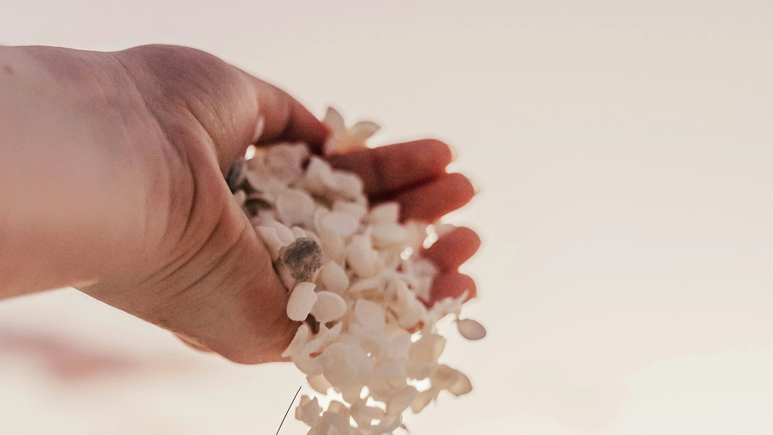 Haftarah - Sh'mini - Let Sin Go