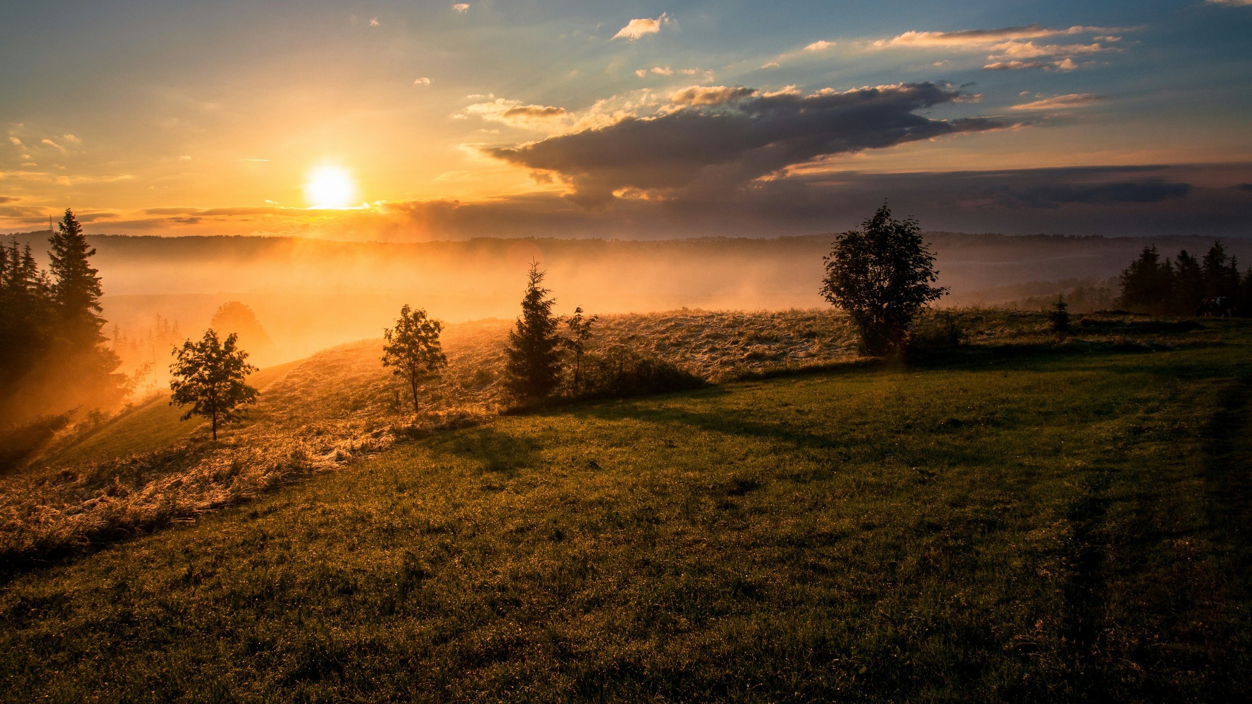 Haftarah - Shoftim - His and His Alone