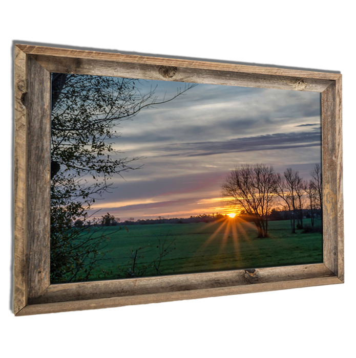 Framed Prints
