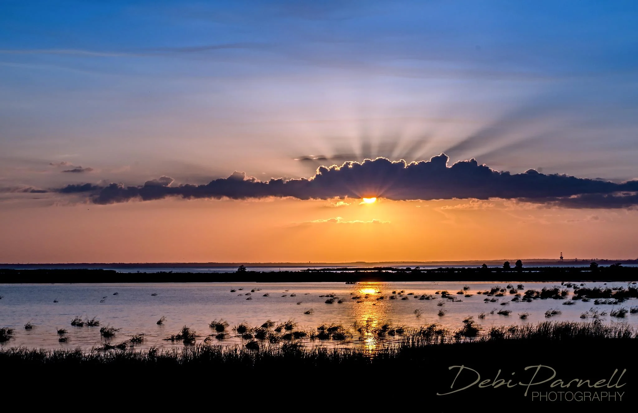 Daphne Sunset fr download.jpg