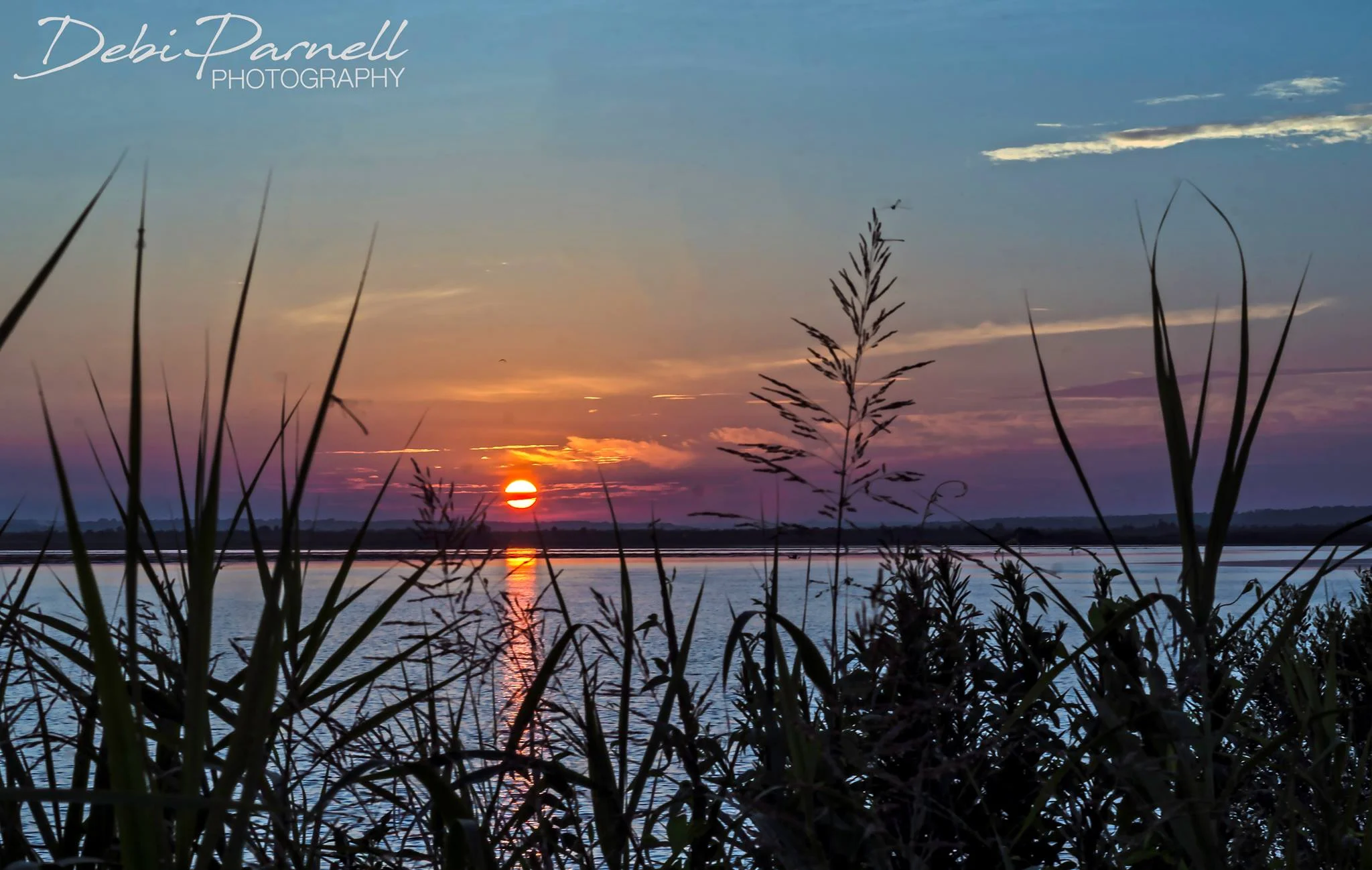 Bayside Sunrise from download.jpg