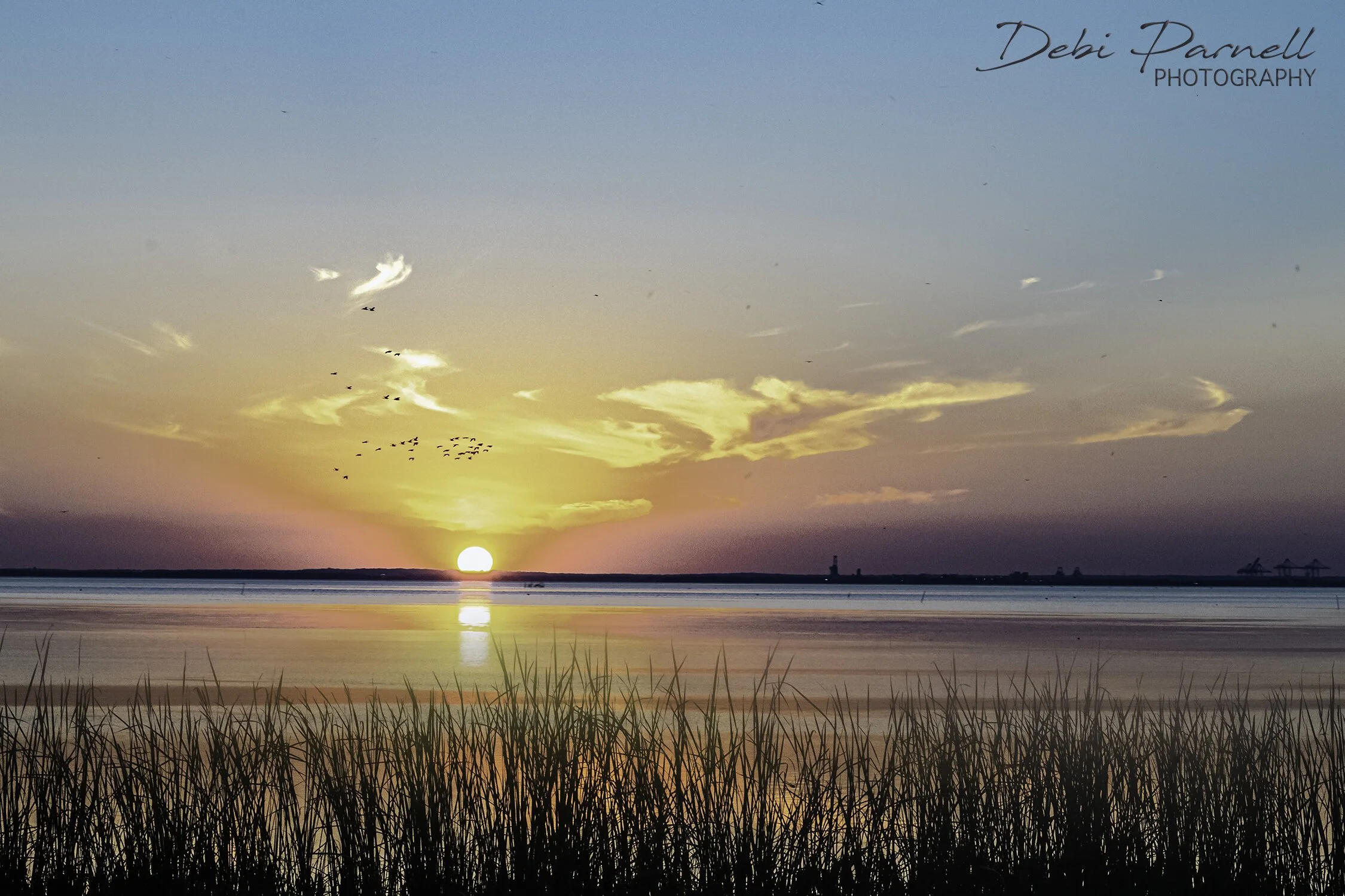 Bayfront+Sunset+9.6.2020_WEB.jpg