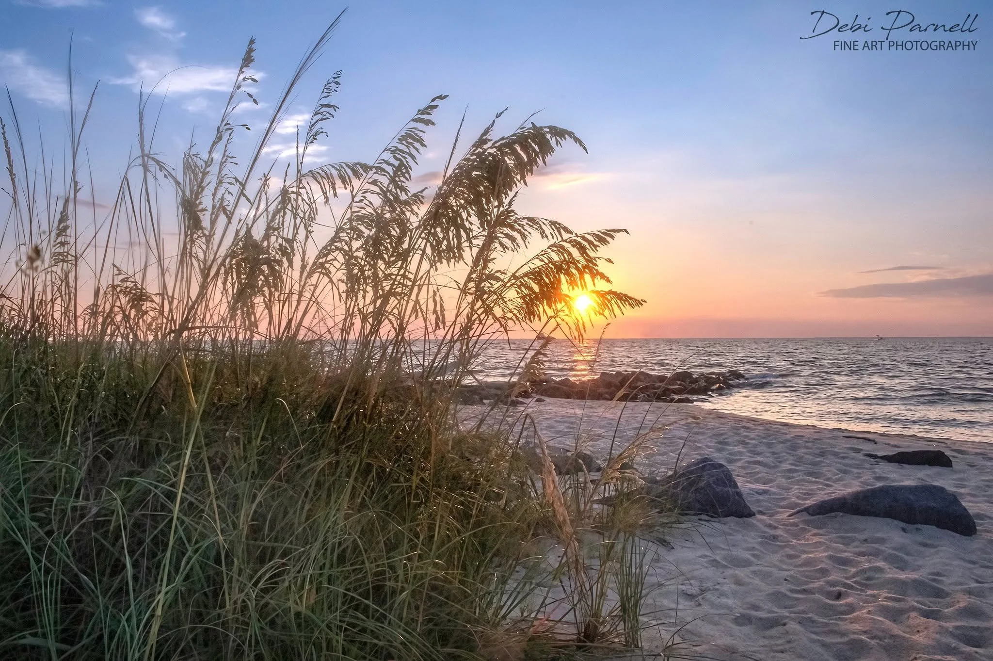 New Day Dawning
