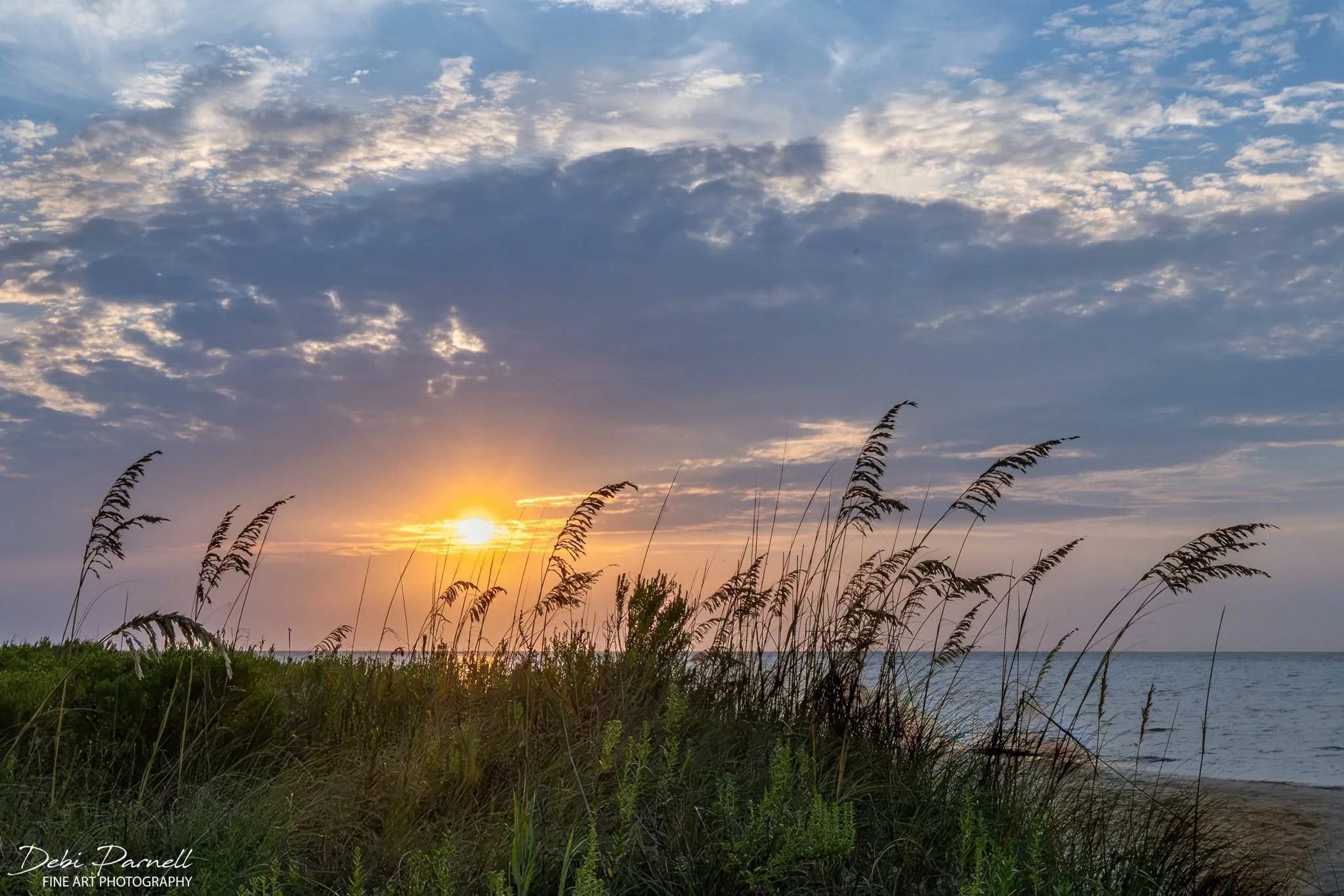 Sunset through the Sea Oats