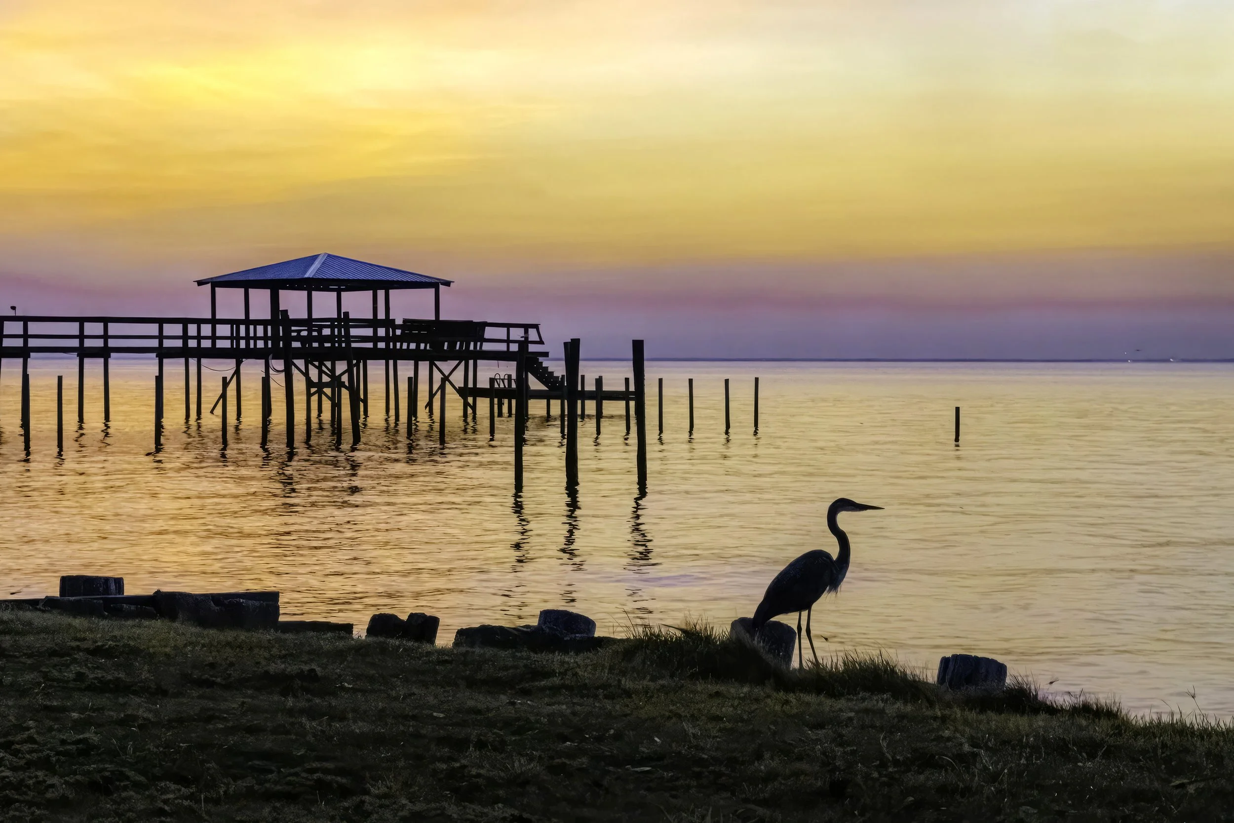Wings and Tranquility_24x16.jpg