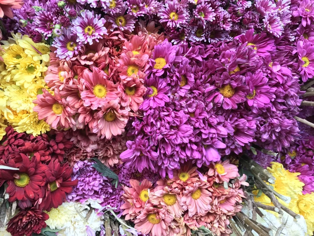 Flowers.jpg