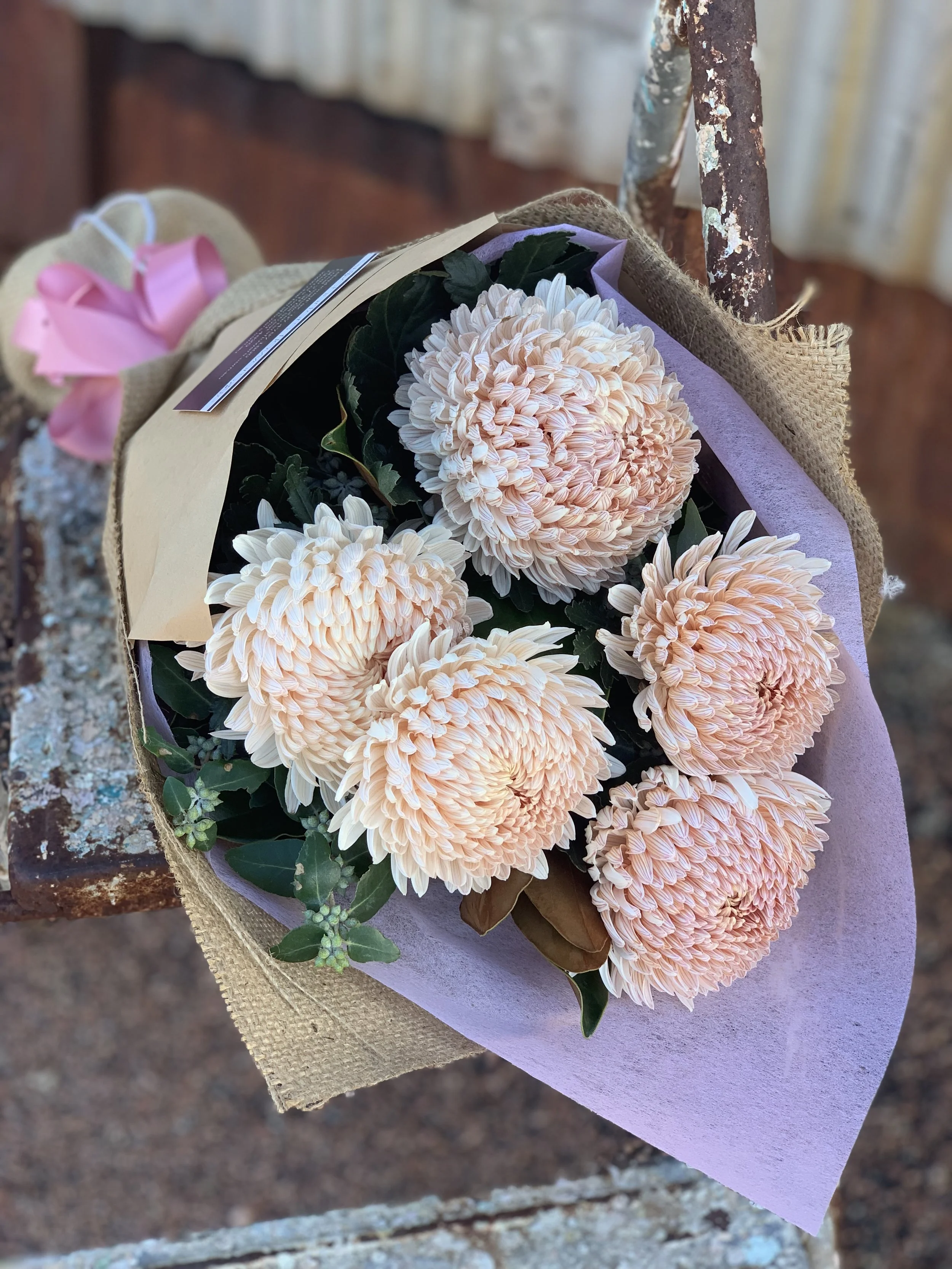 Nashville Disbud.jpg