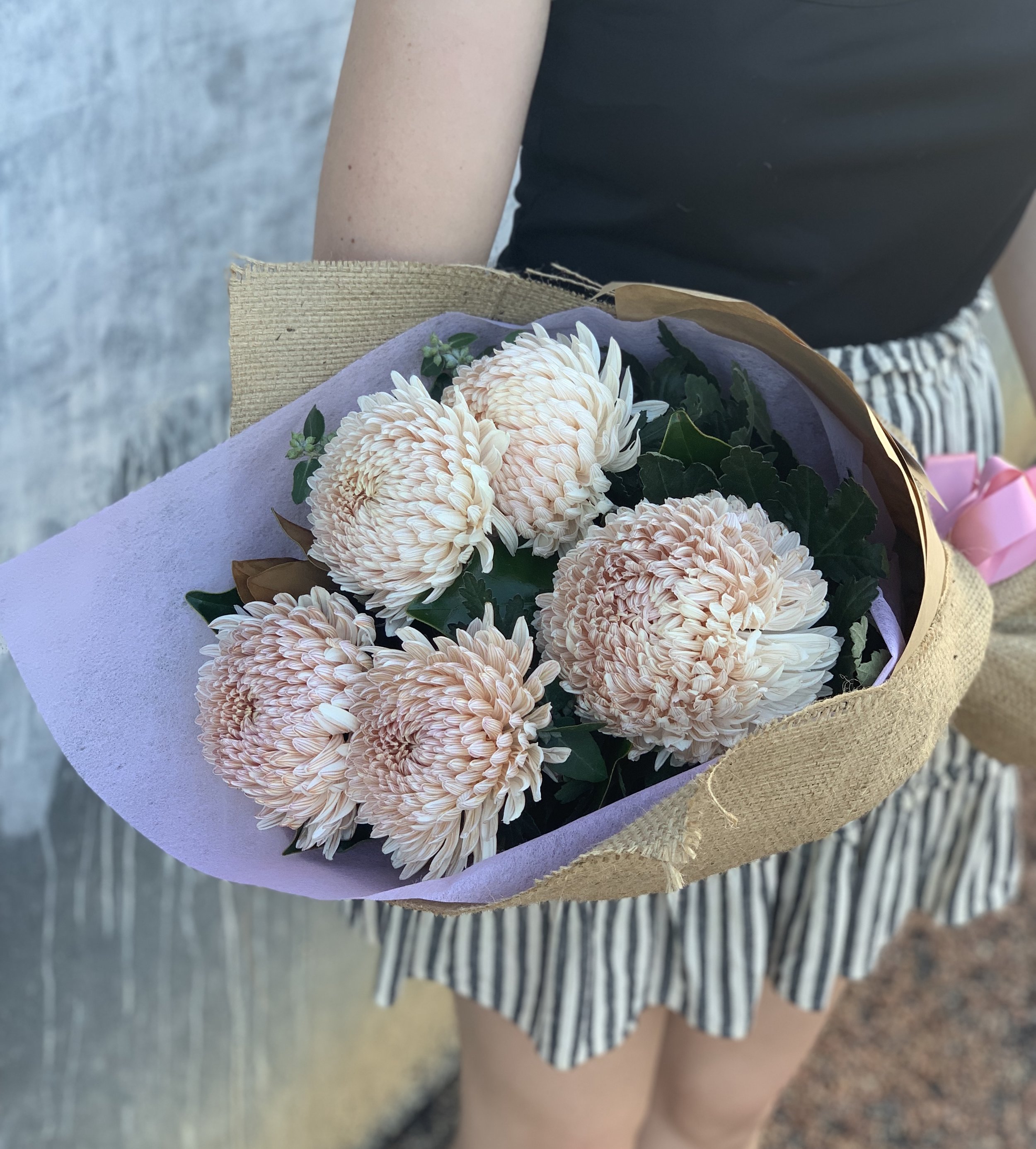 Nashville Disbud Holding.jpg