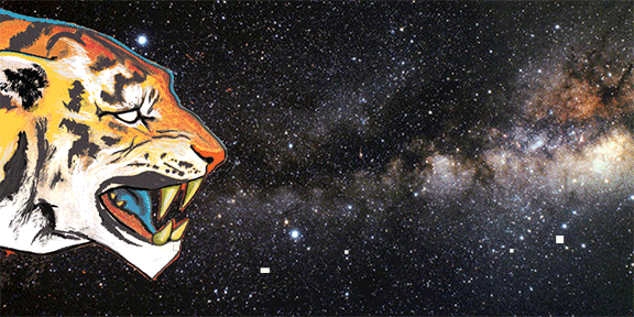 Space_Tiger.gif