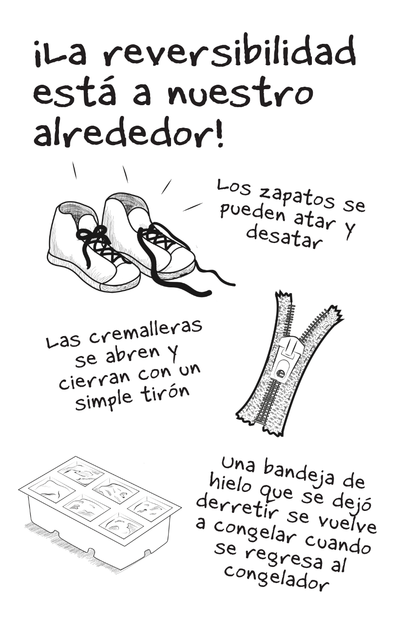 Reversibility [Spanish]-2-2.png