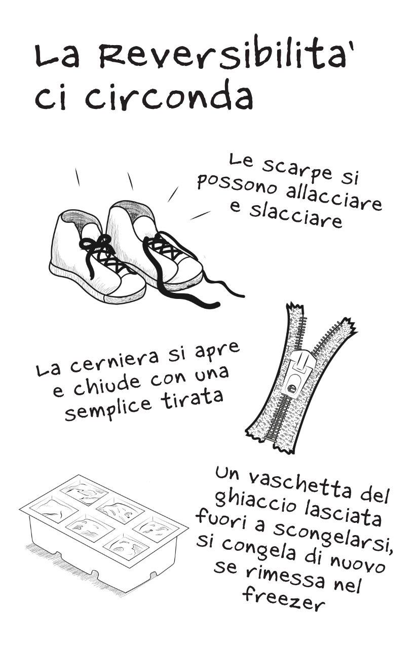 Reversibility [Italian]-2-2.png