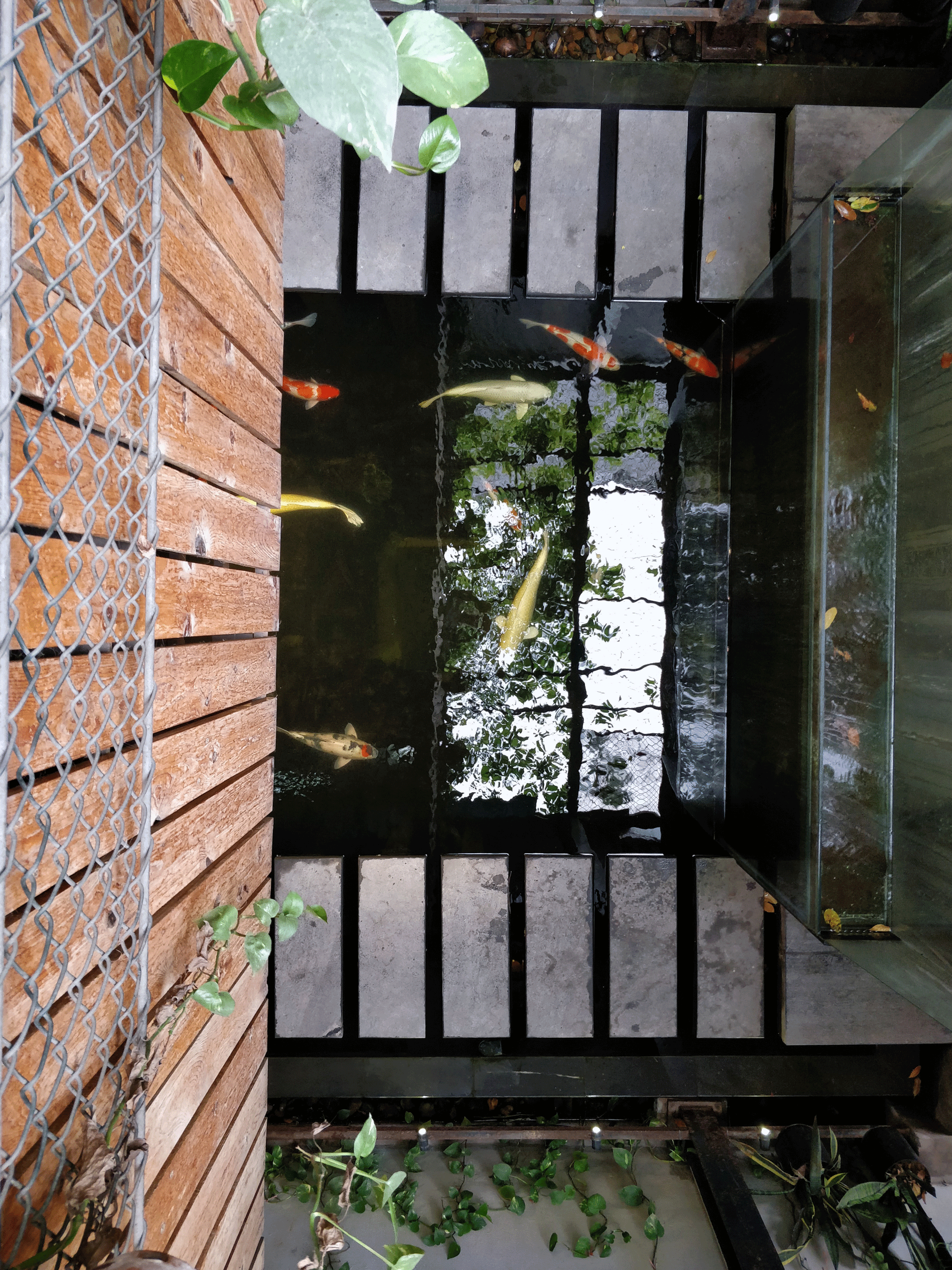 Koi Cafe and Spa - Hanoi